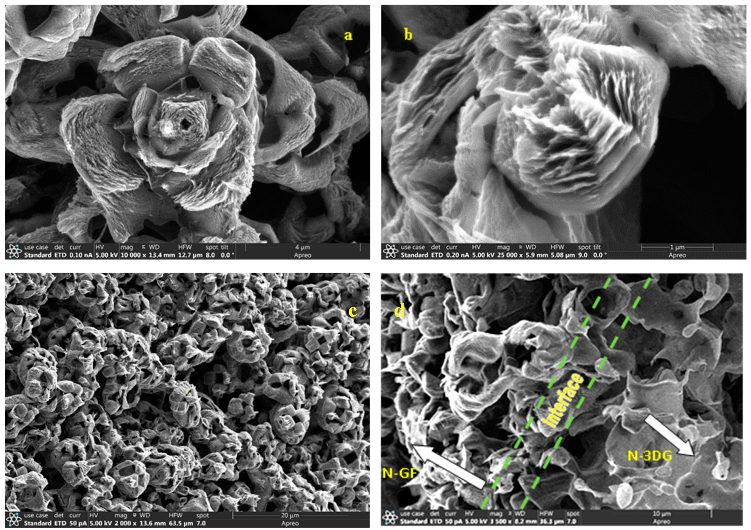 C | Free Full-Text | Nitrogen-Doped Flower-Like Hybrid Structure Based on  Three-Dimensional Graphene