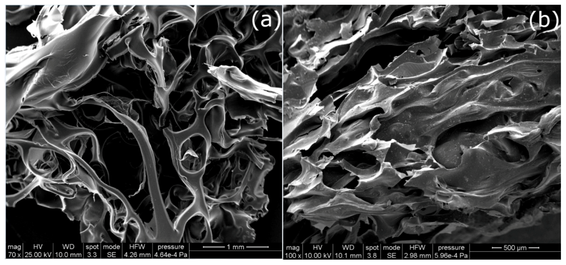 Carbon 06 00045 g003