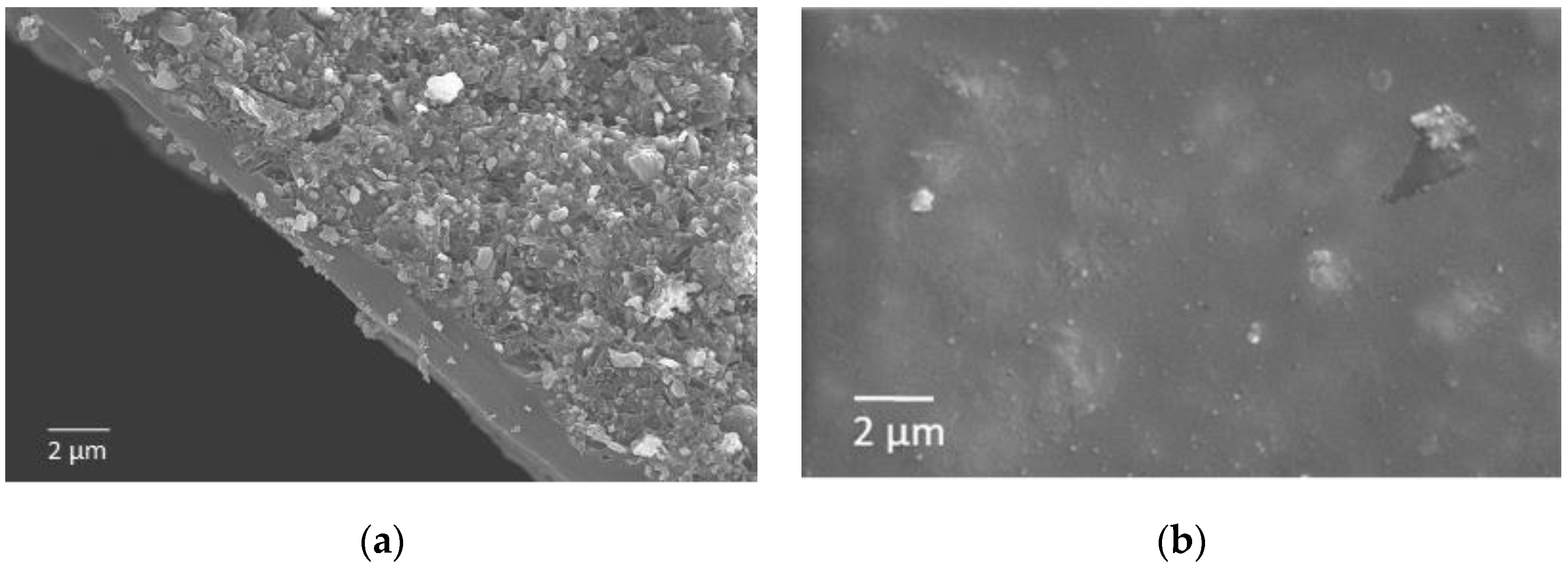 Carbon 06 00053 g005