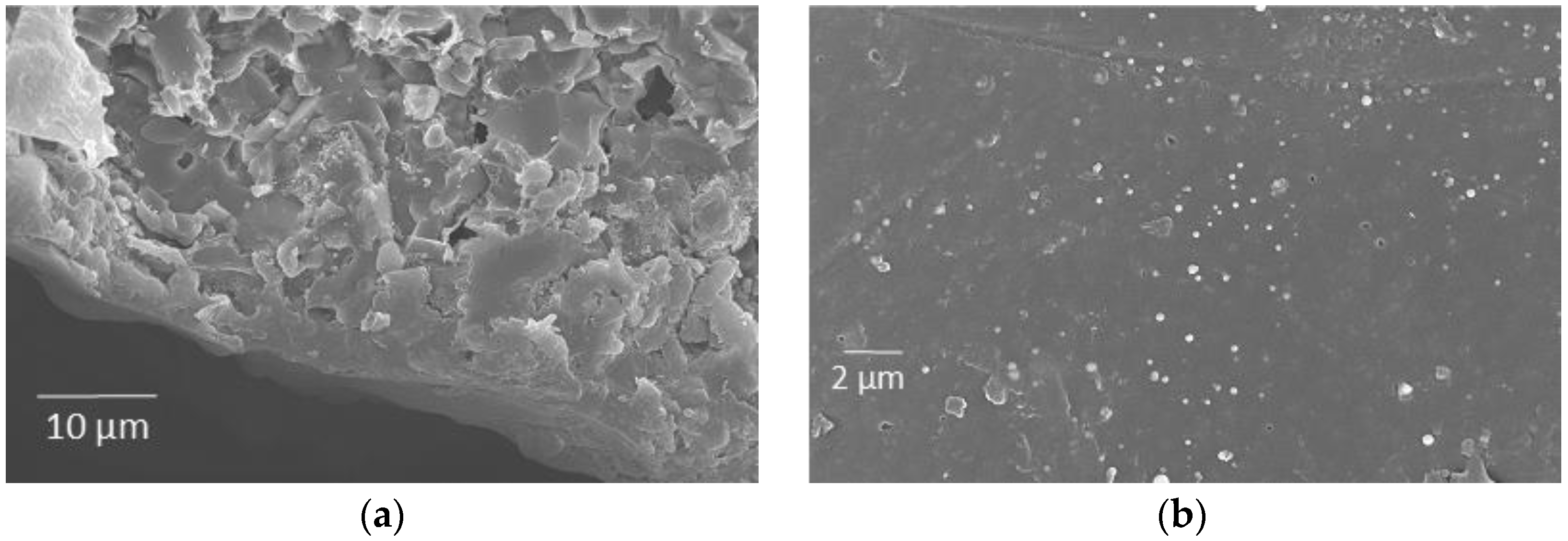 Carbon 06 00053 g006