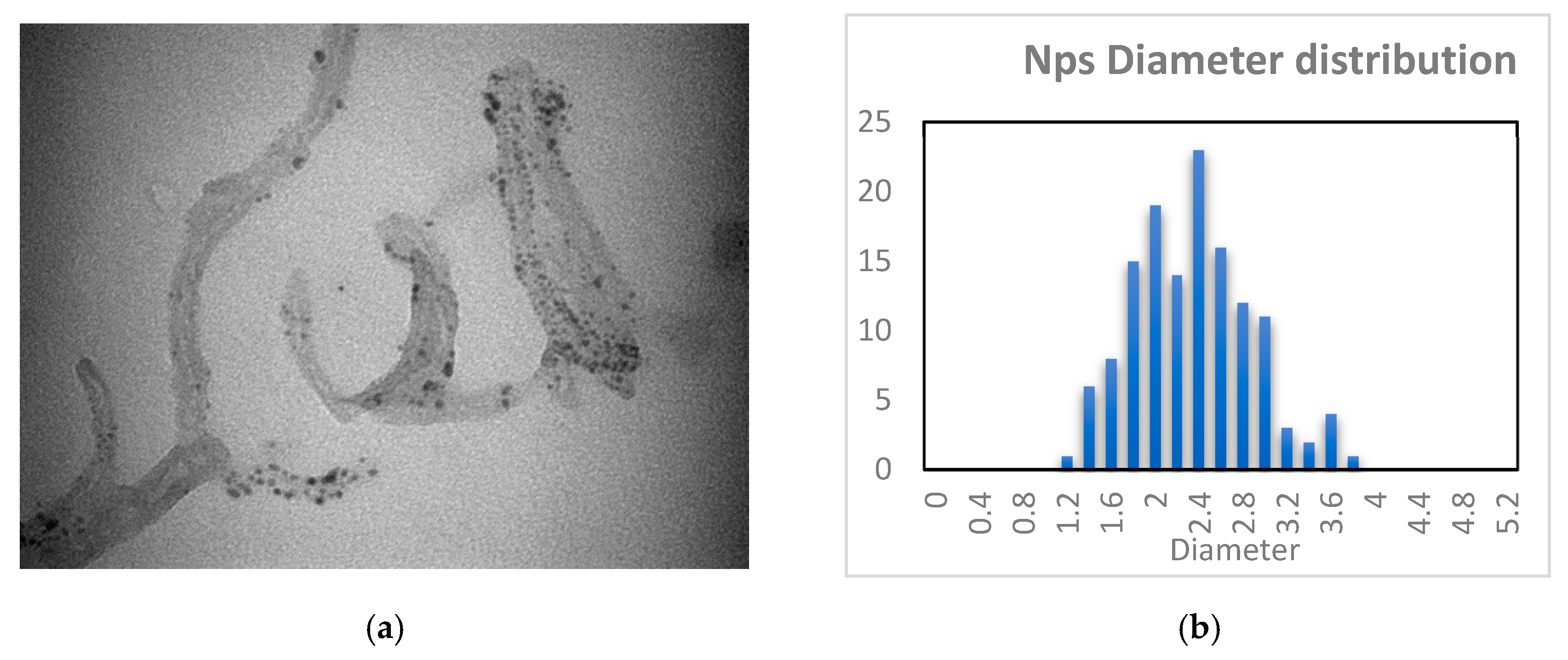 Carbon 06 00057 g002