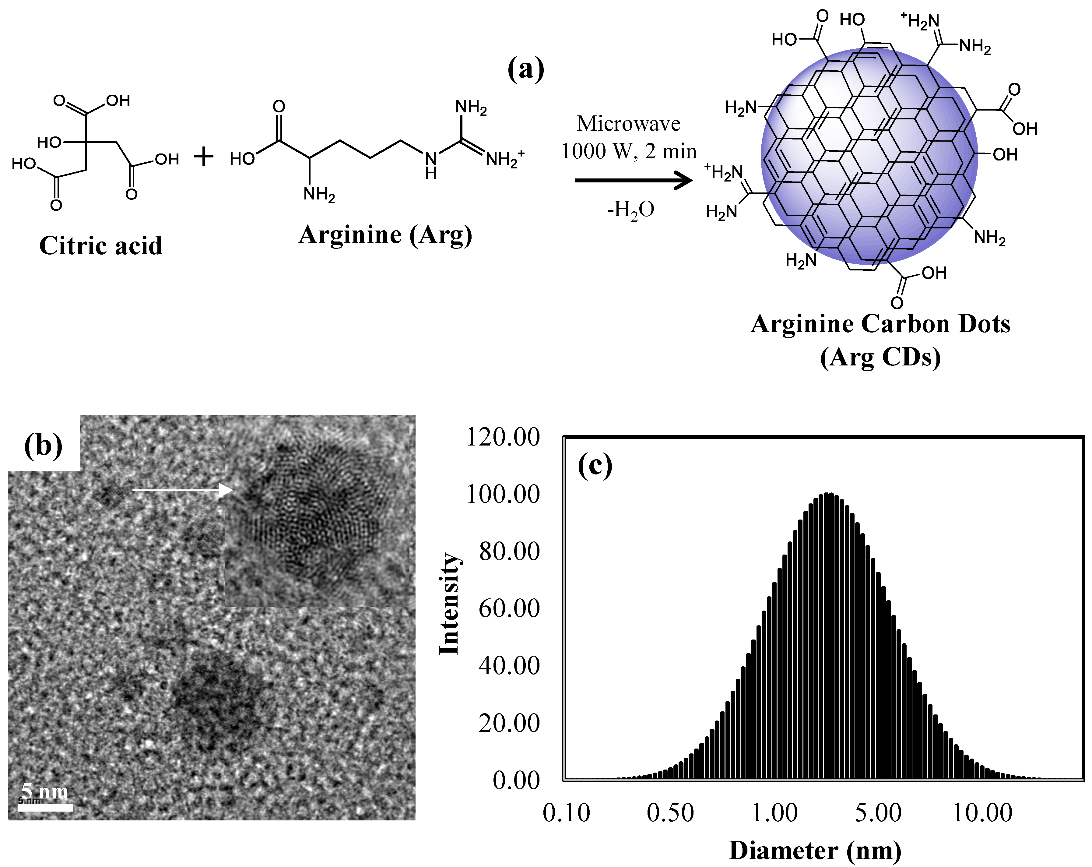Carbon 06 00058 g001