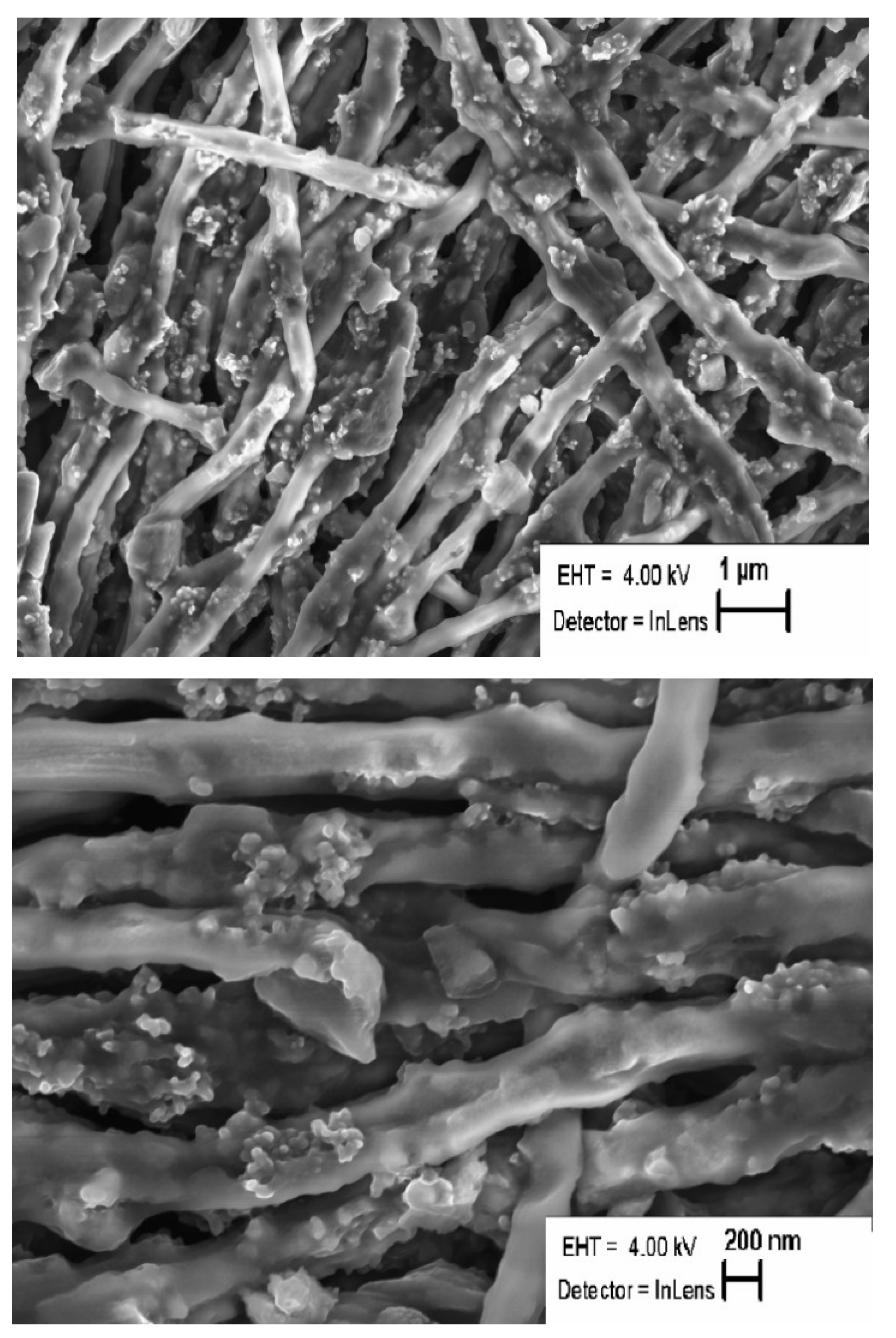 Carbon 06 00059 g001