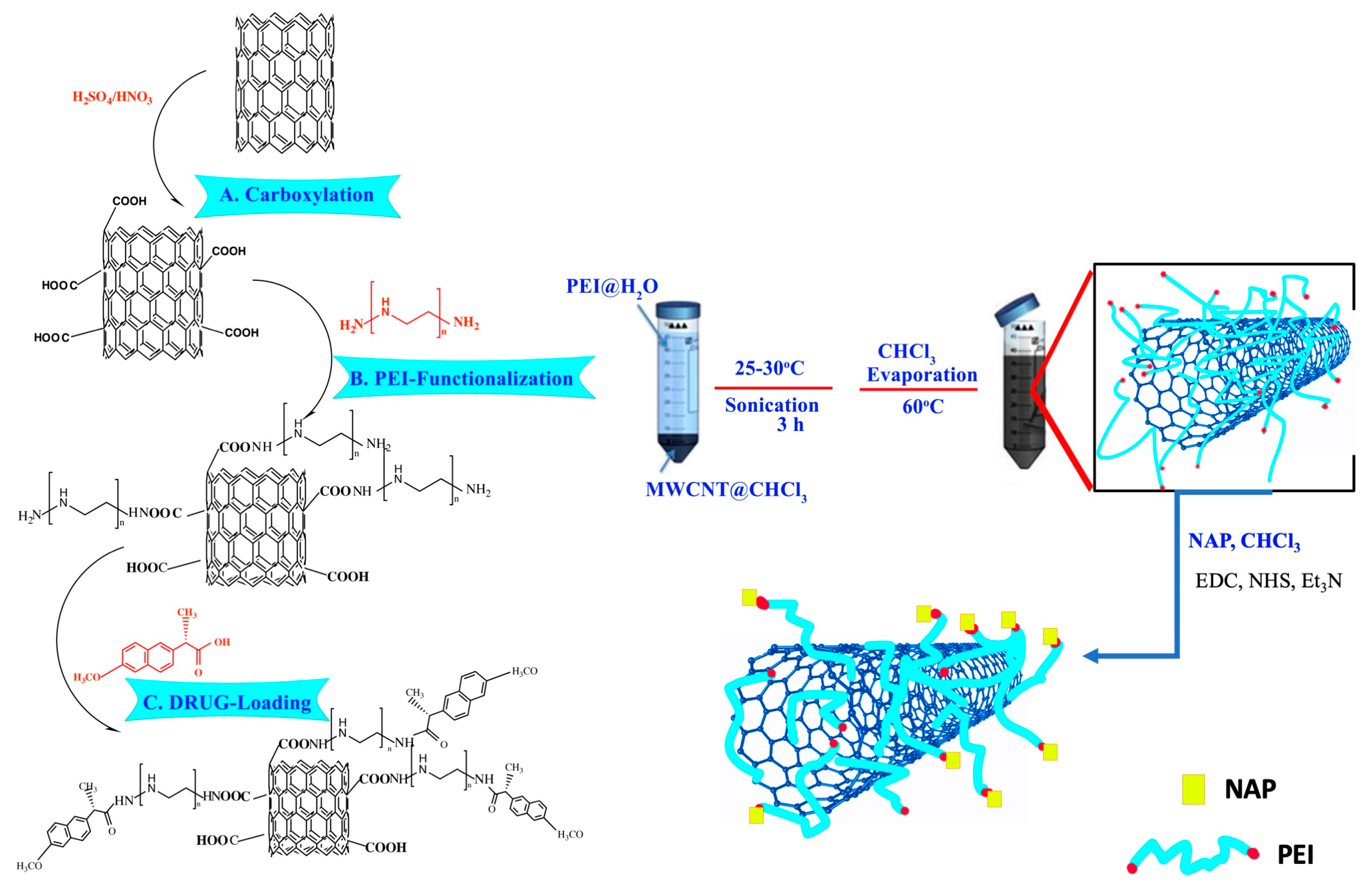 Carbon 06 00062 g001