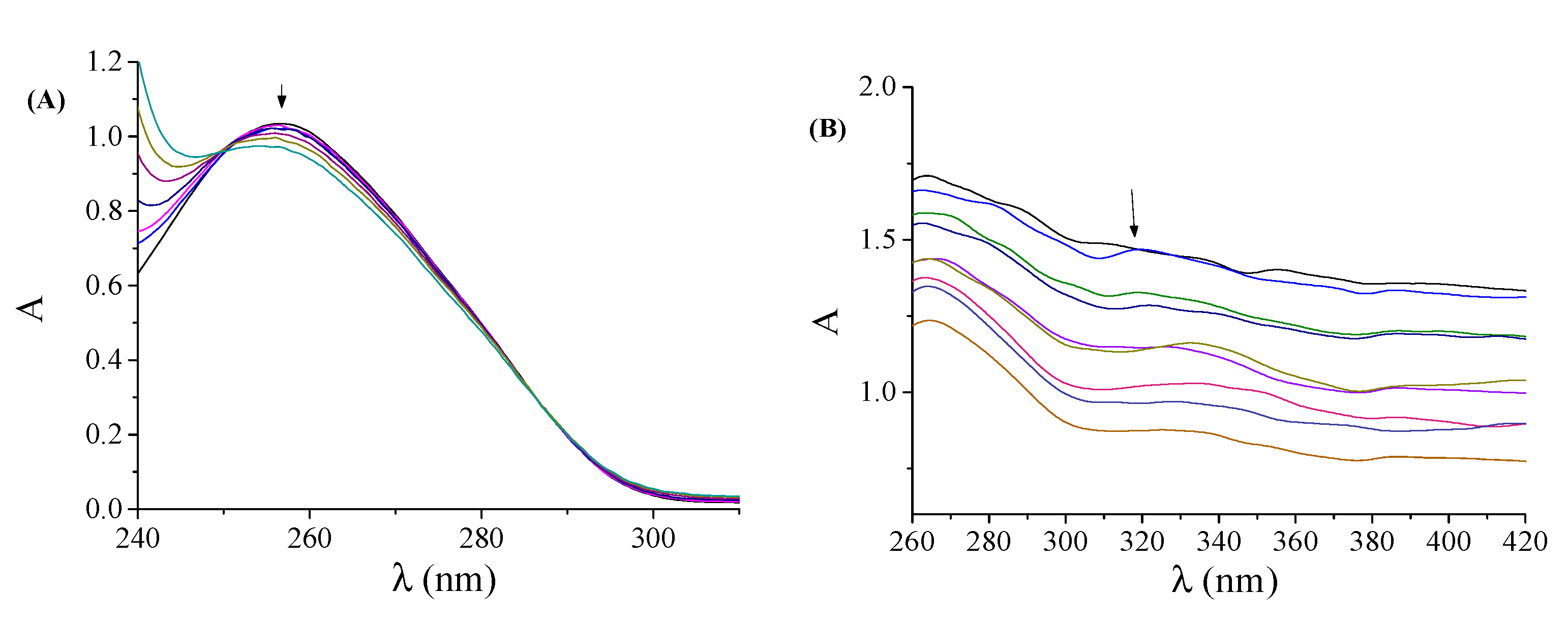 Carbon 06 00062 g005