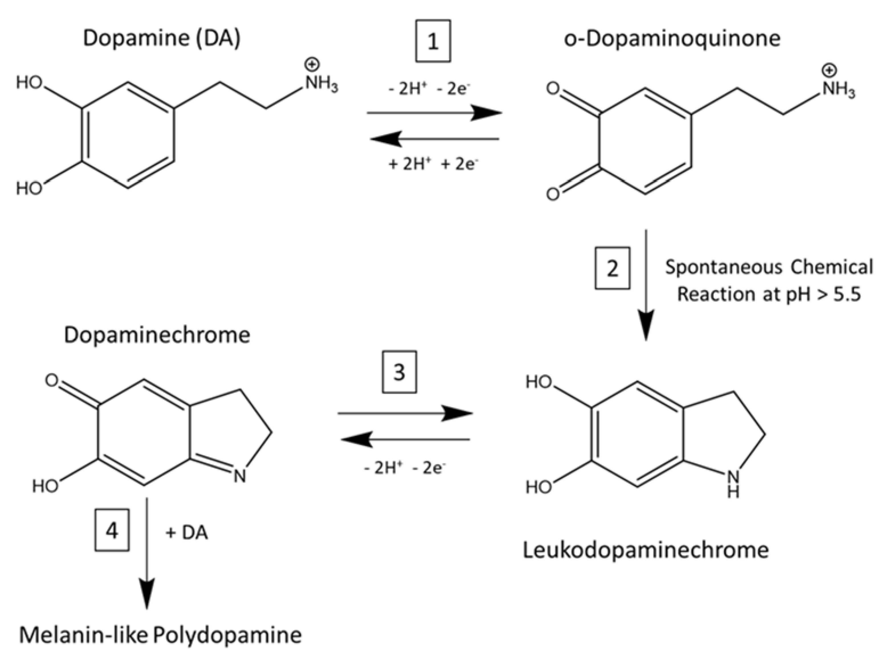 Carbon 06 00068 g010