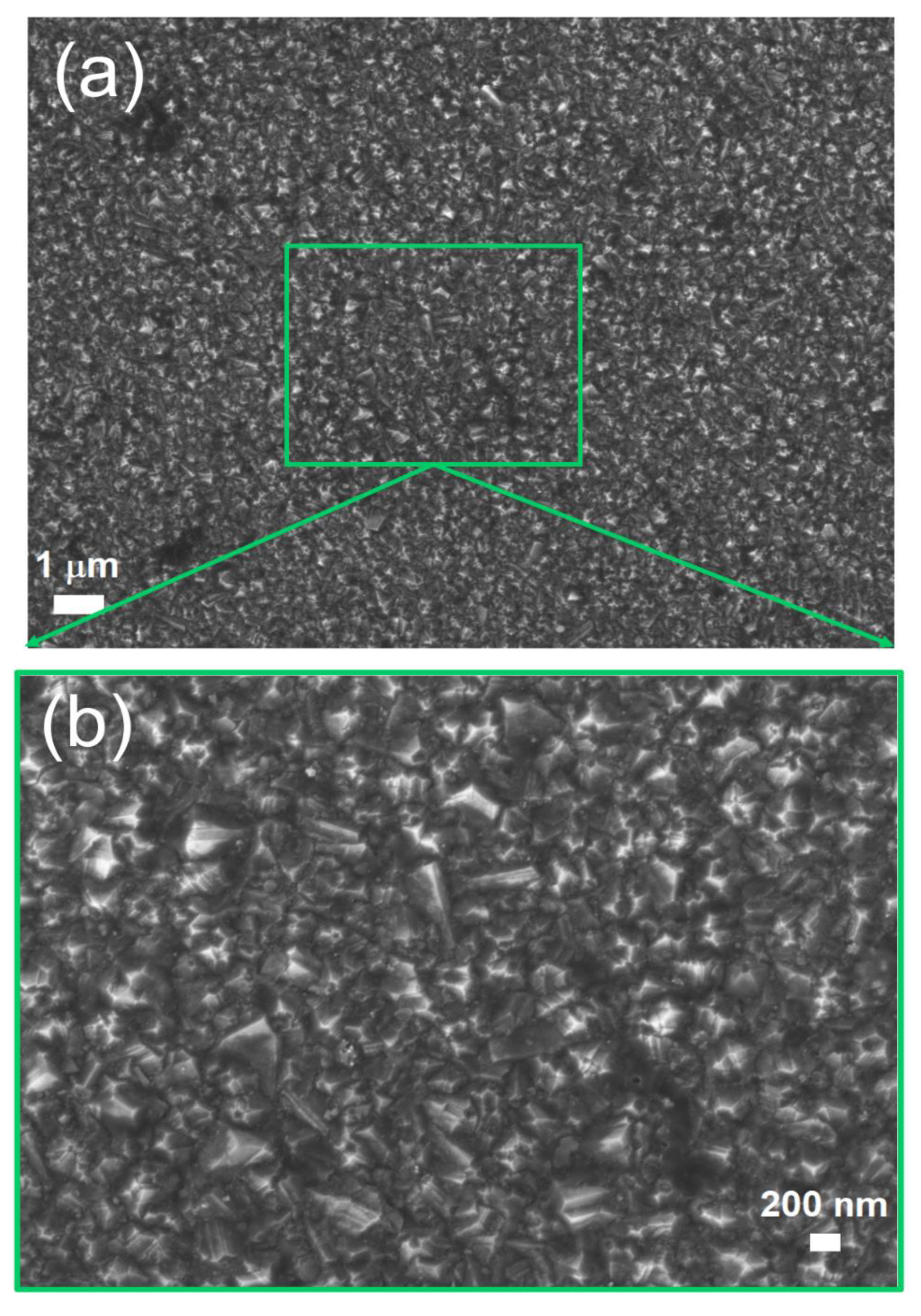 Carbon 06 00075 g003