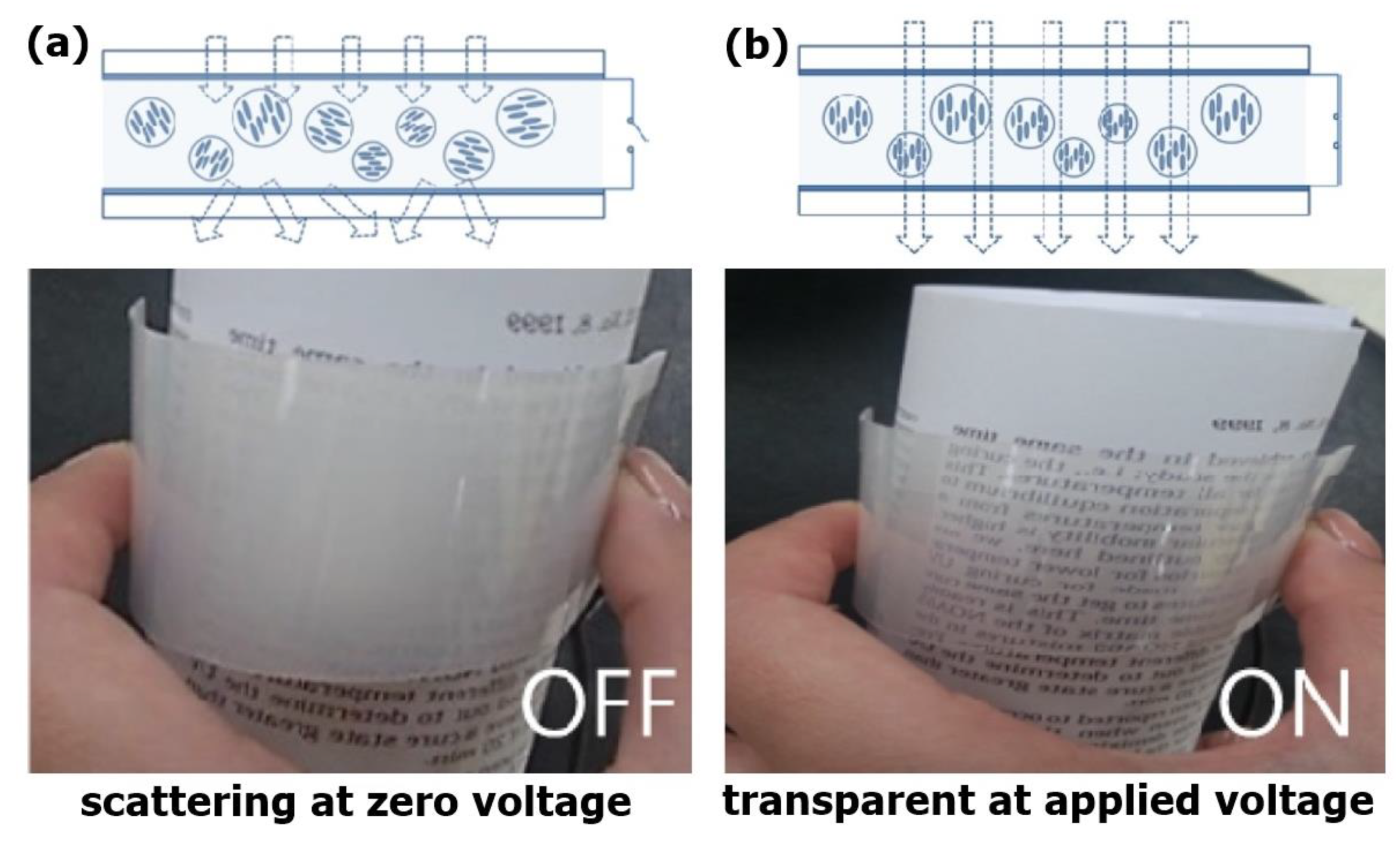 Carbon 06 00080 g016
