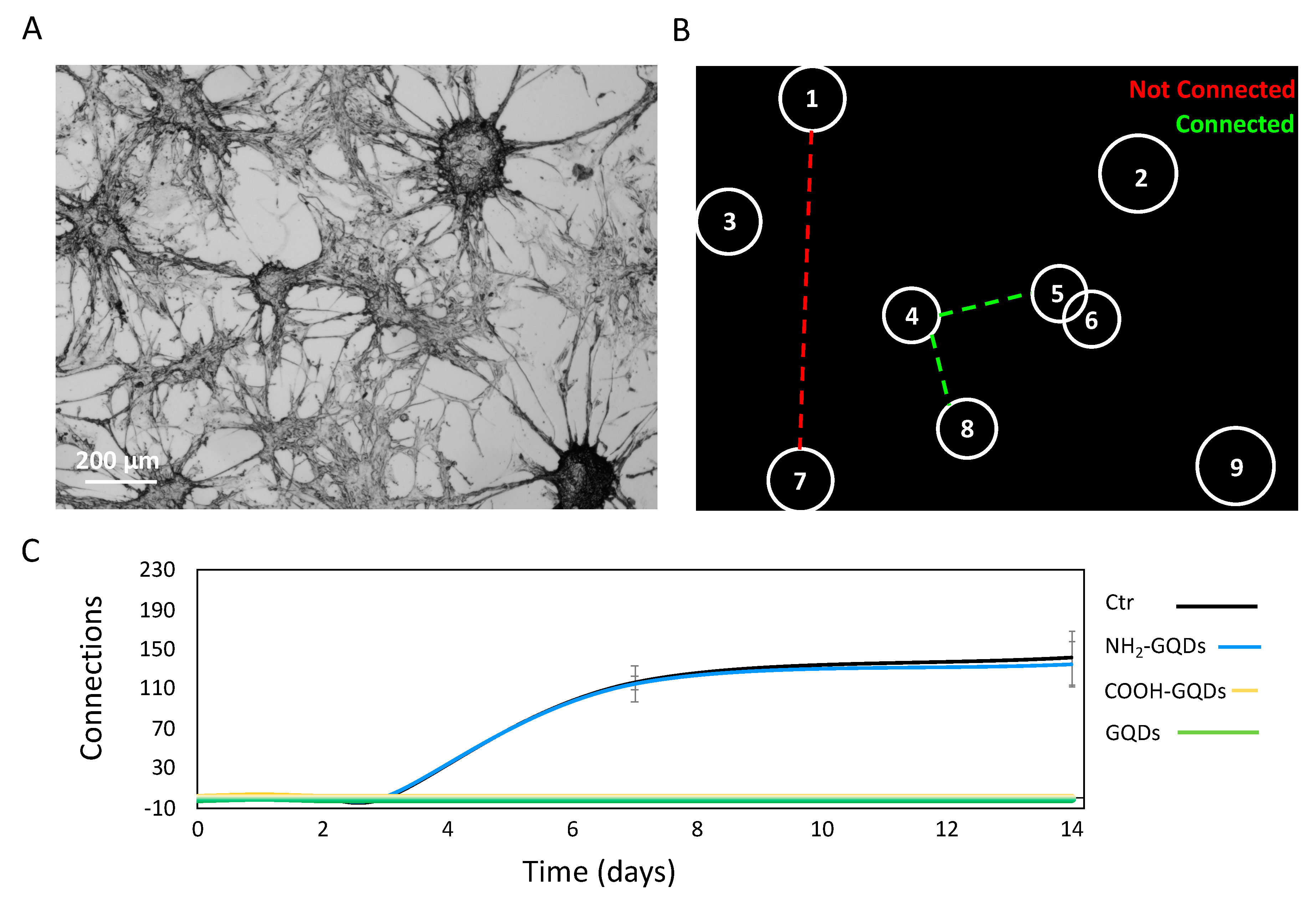 Carbon 07 00004 g005 Carbon 07 00004 g005