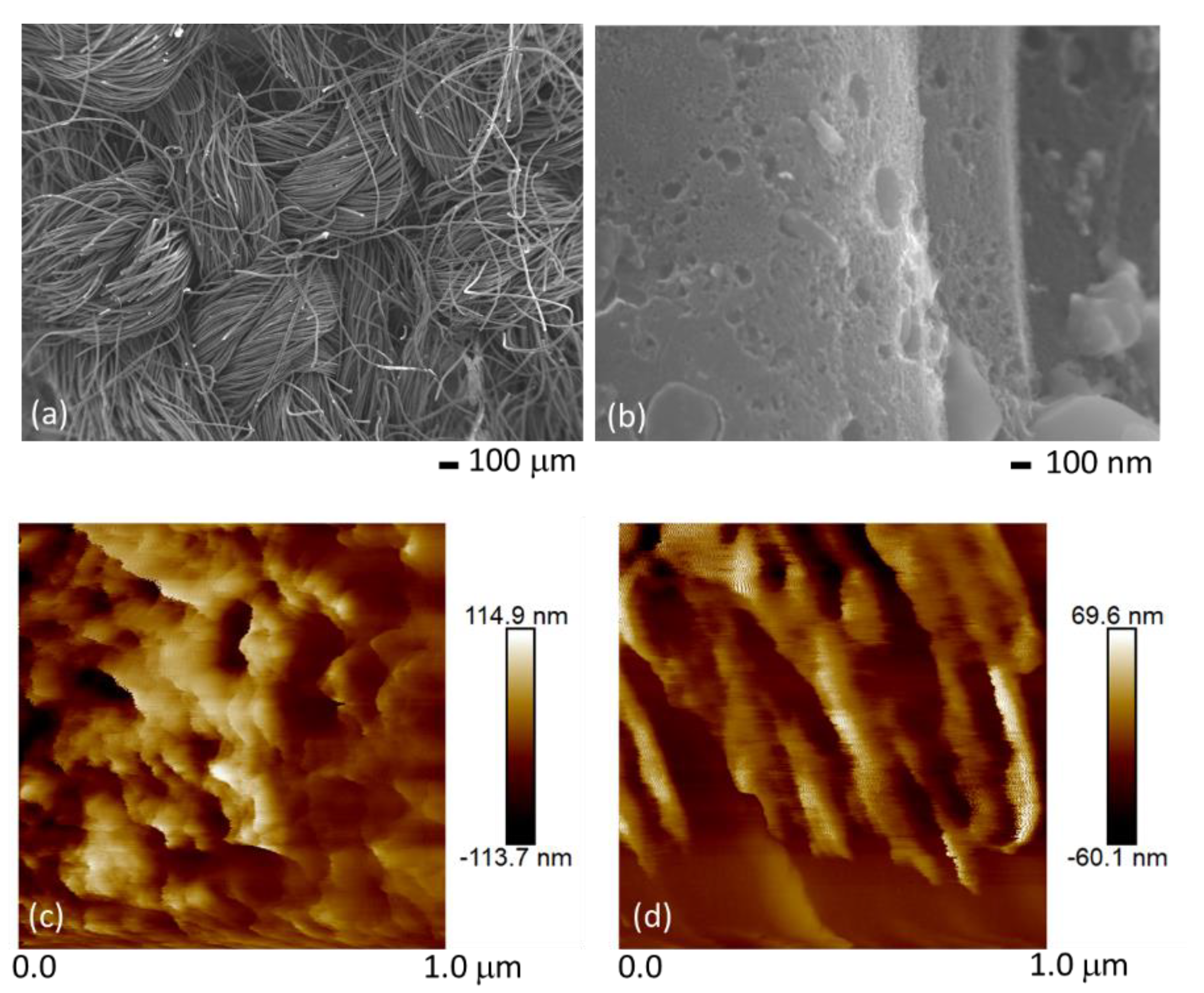 Carbon 07 00015 g001