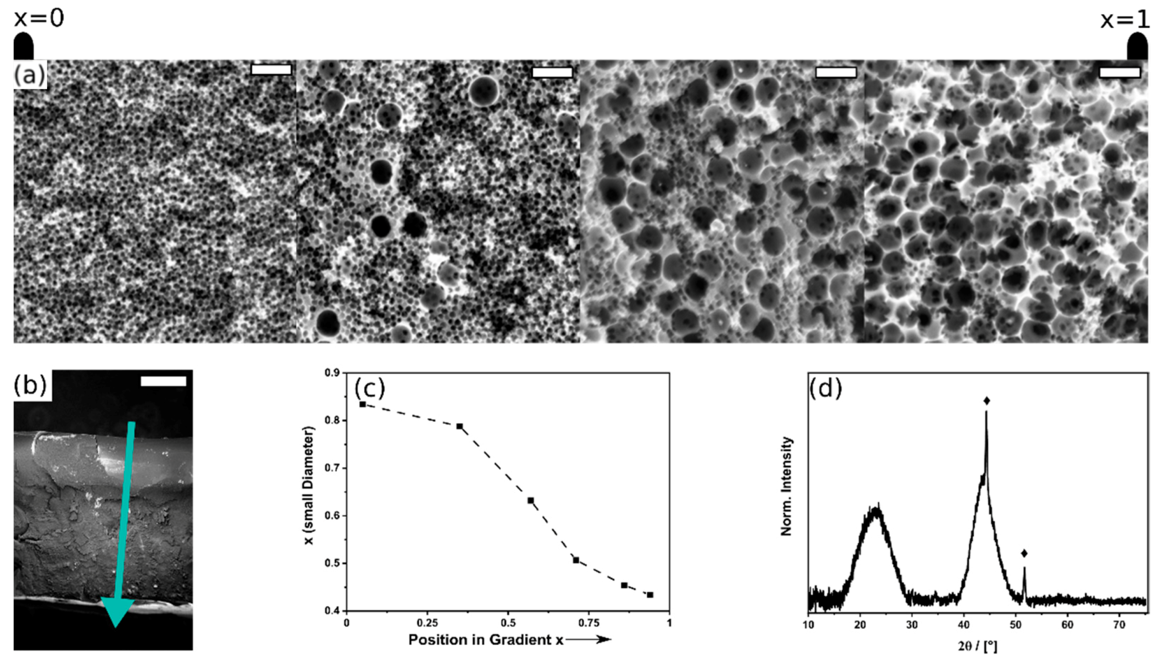 Carbon 07 00022 g001