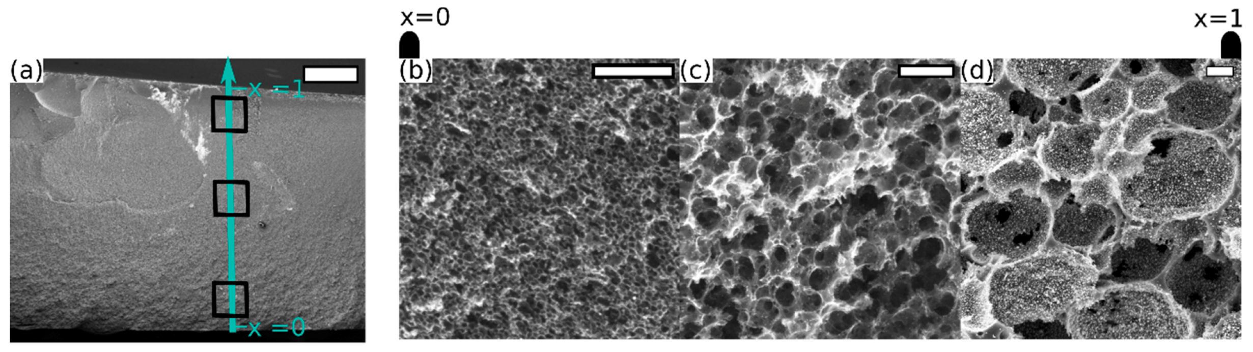 Carbon 07 00022 g002