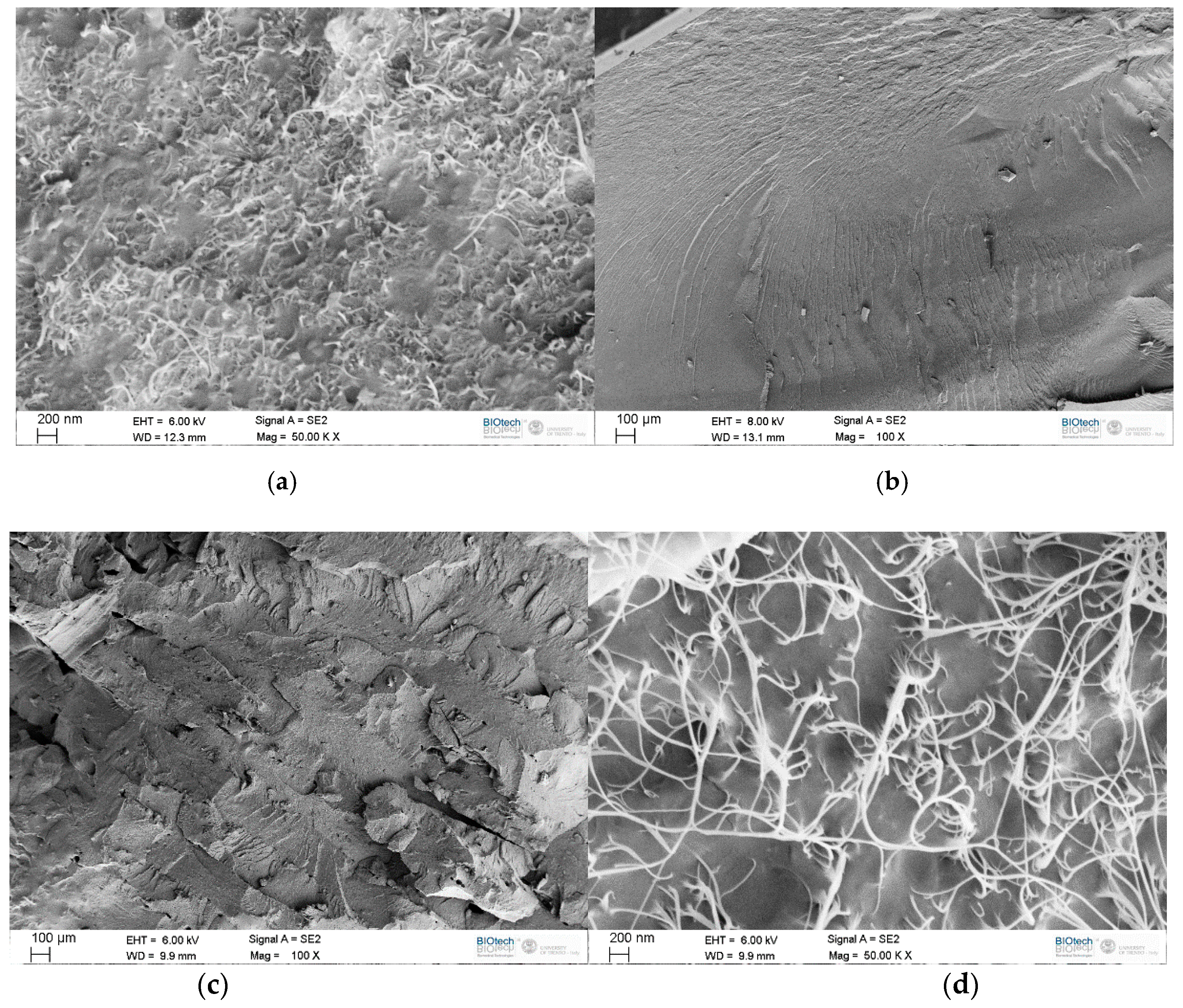 Carbon 07 00033 g002