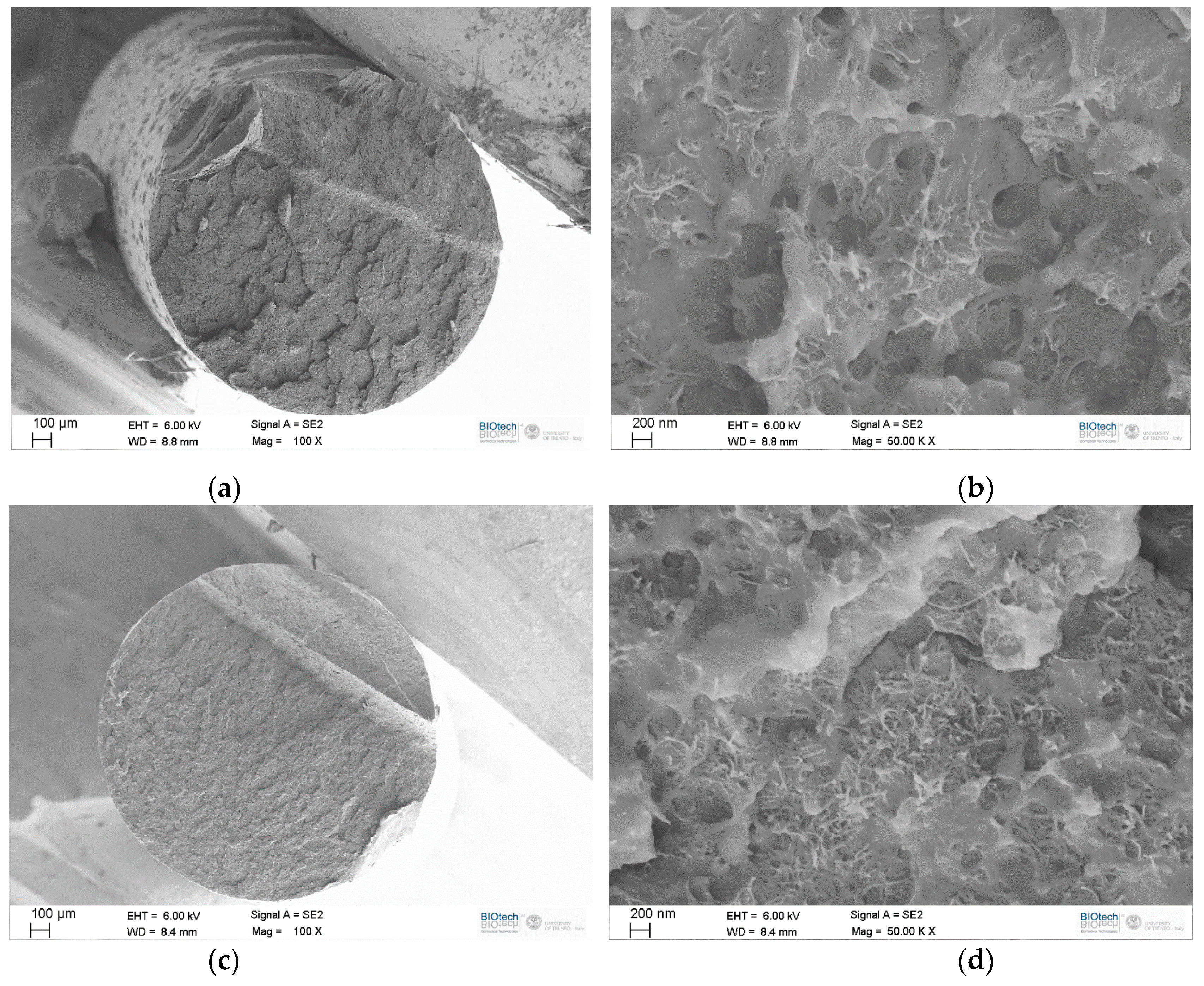 Carbon 07 00033 g003