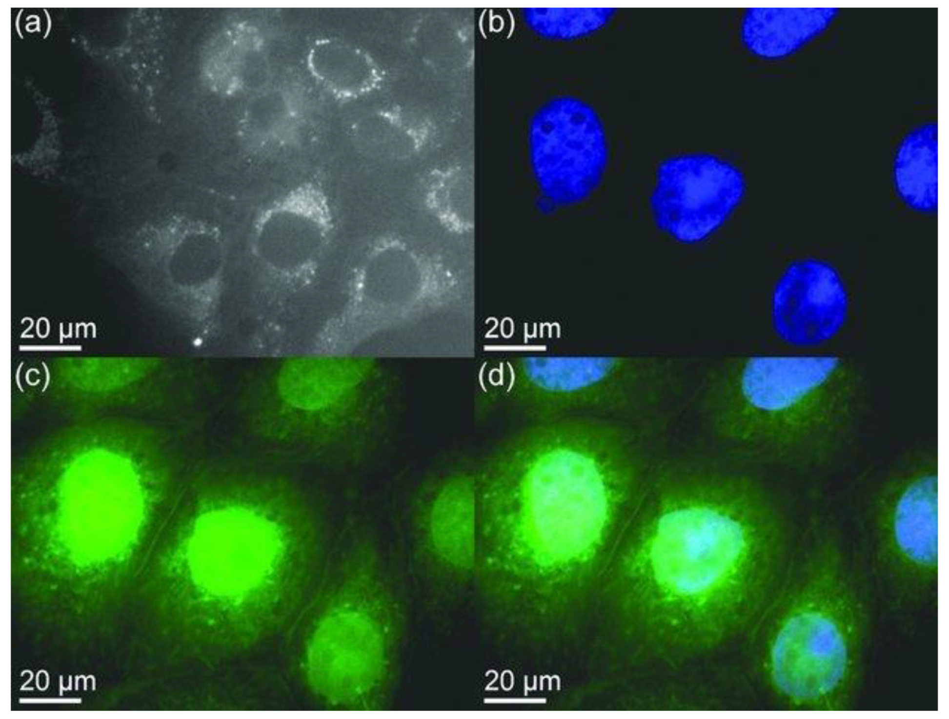 Carbon 07 00035 g008
