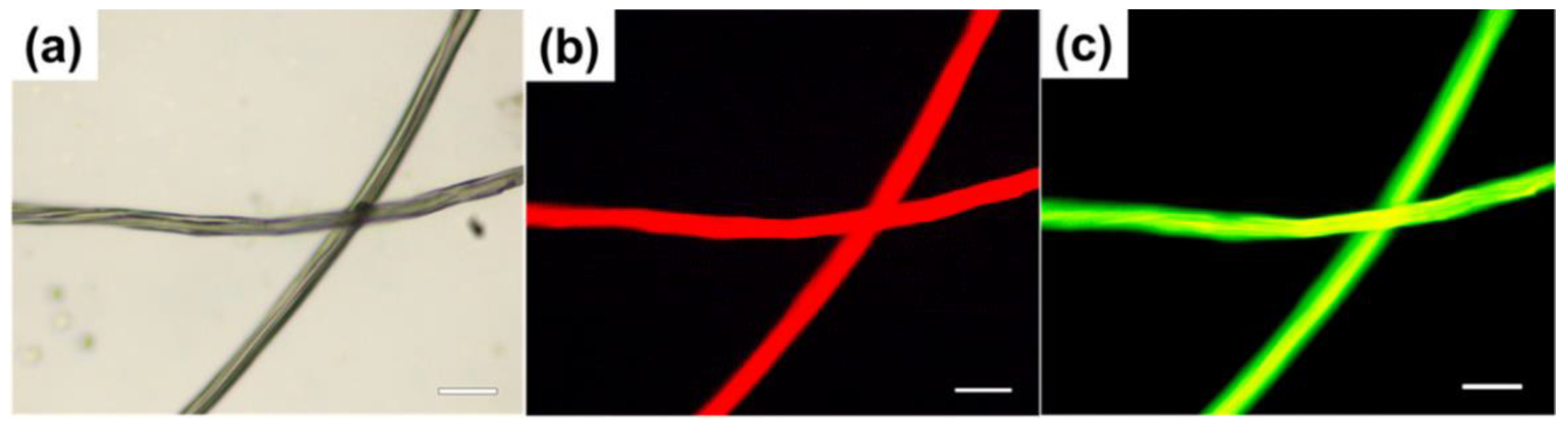 Carbon 07 00035 g012