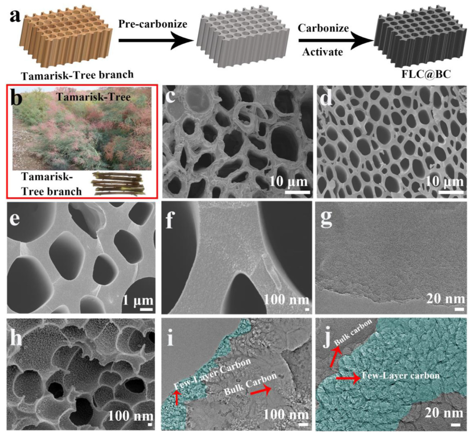 Carbon 07 00039 g001