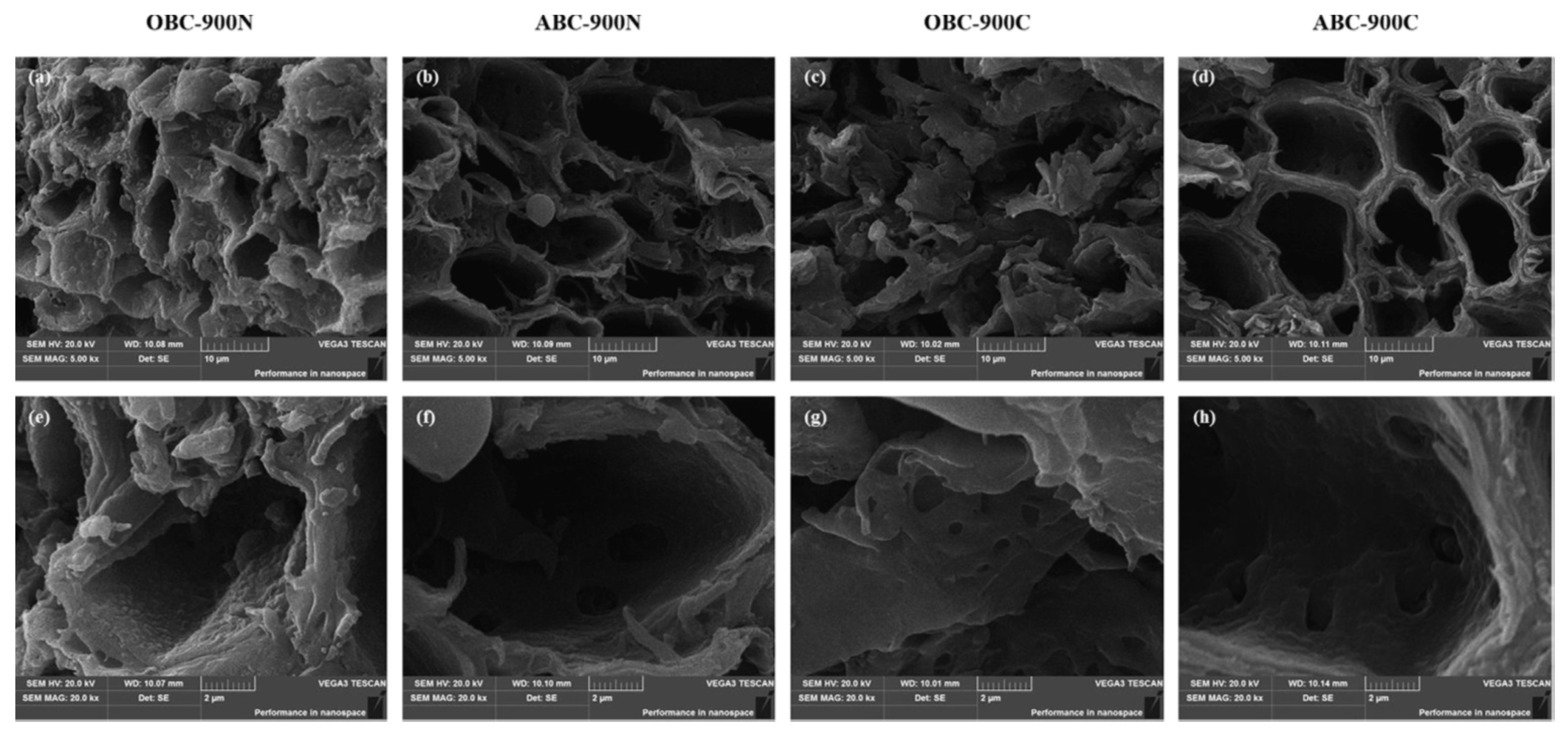 Carbon 07 00039 g003