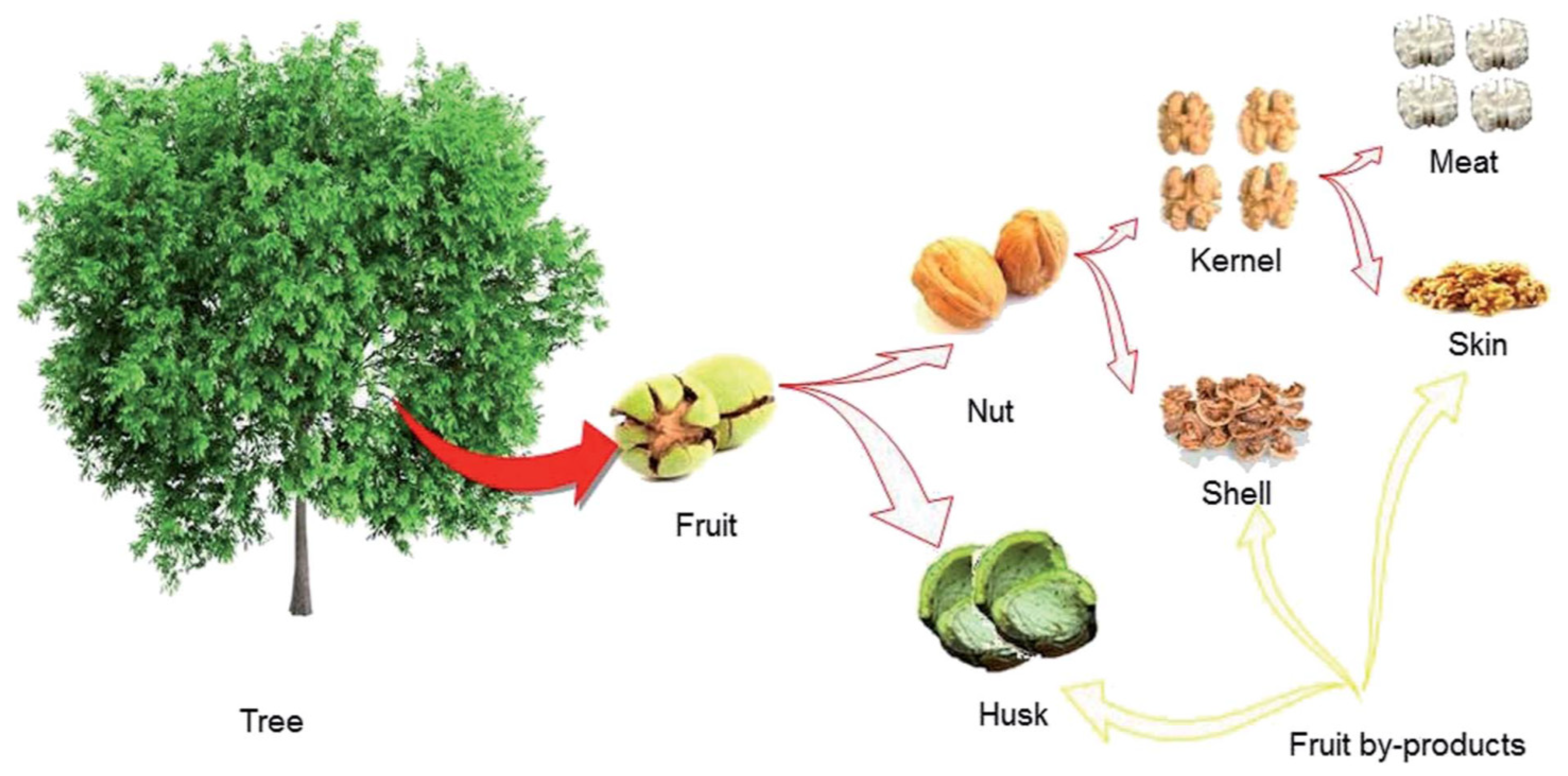 Carbon 07 00039 g008