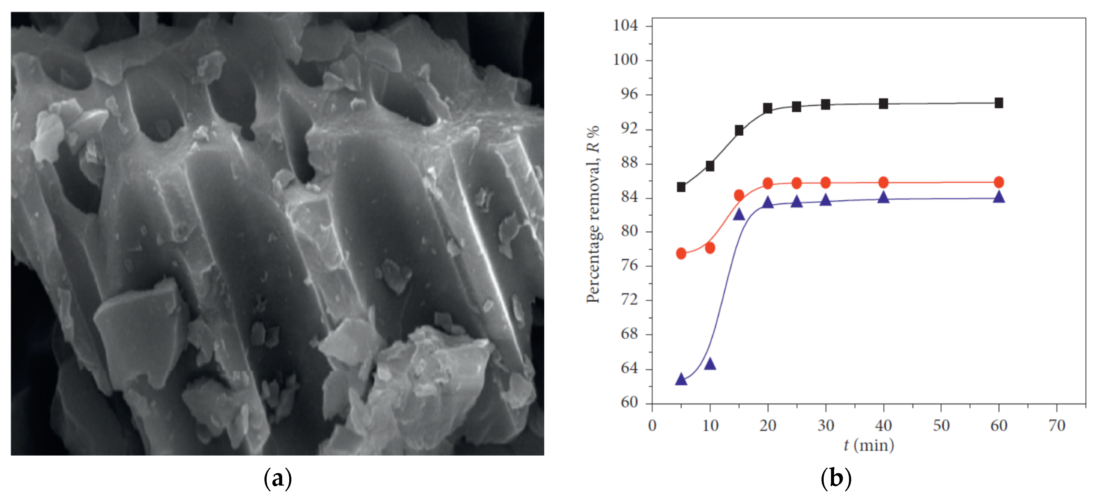 Carbon 07 00039 g009