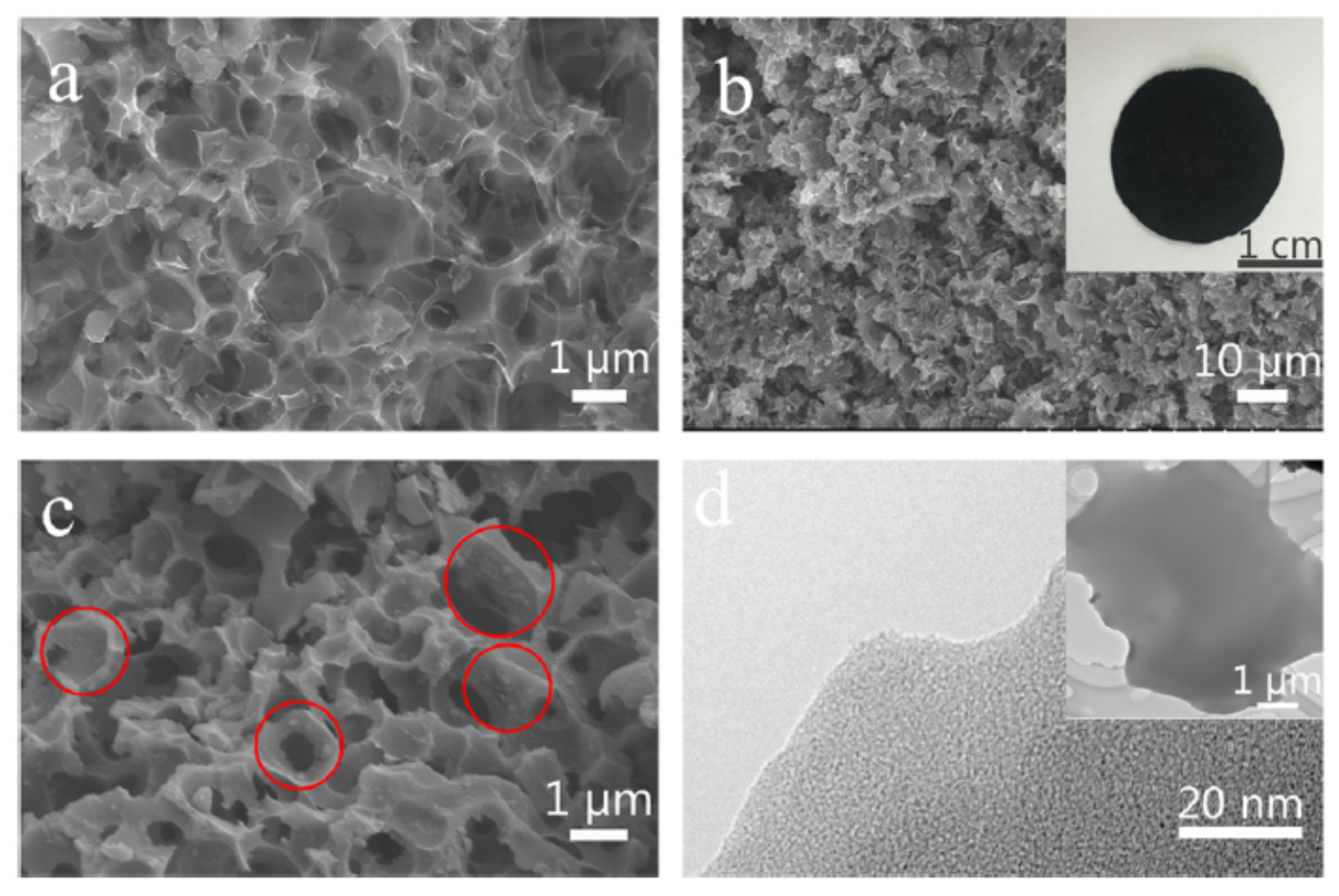 Carbon 07 00039 g012