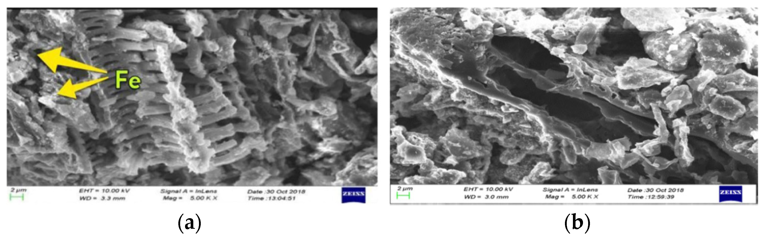 Carbon 07 00039 g016