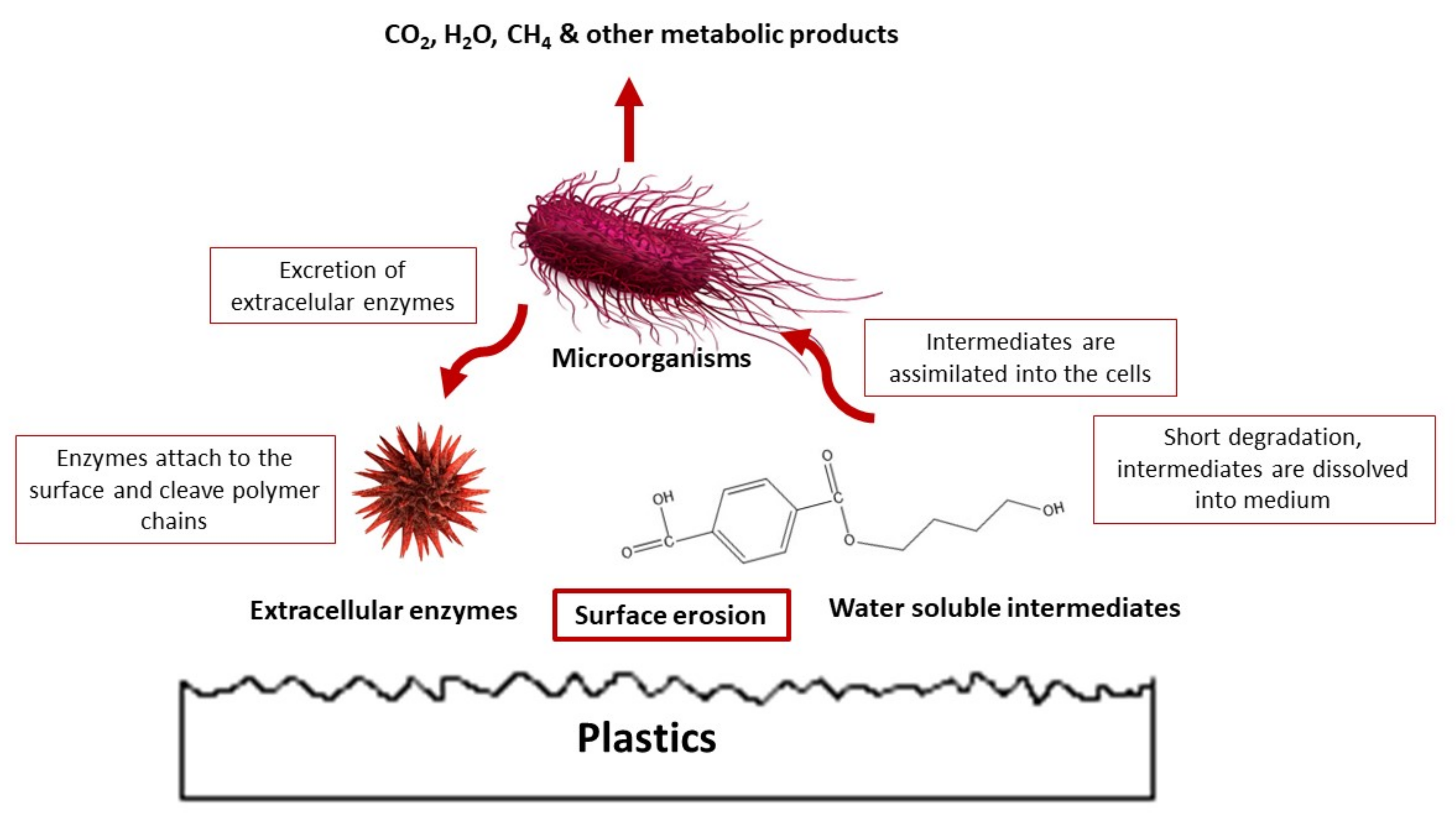Carbon 07 00042 g012