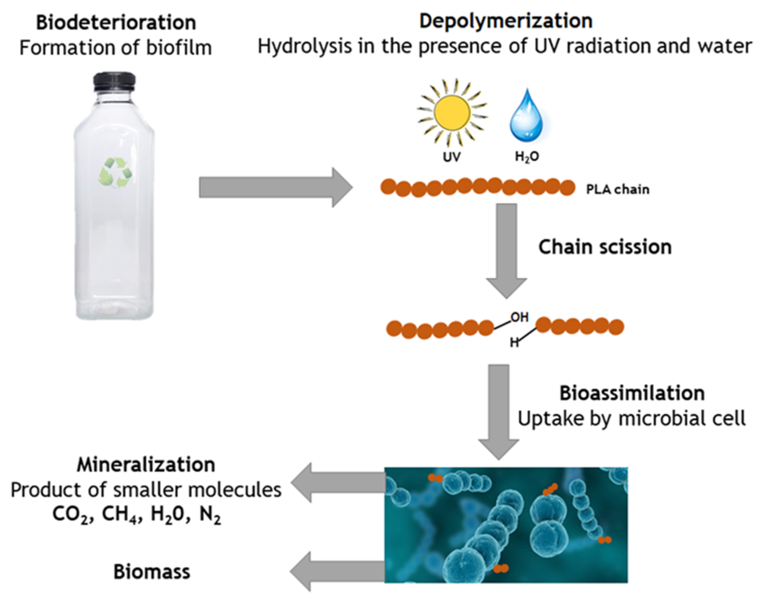Carbon 07 00042 g013