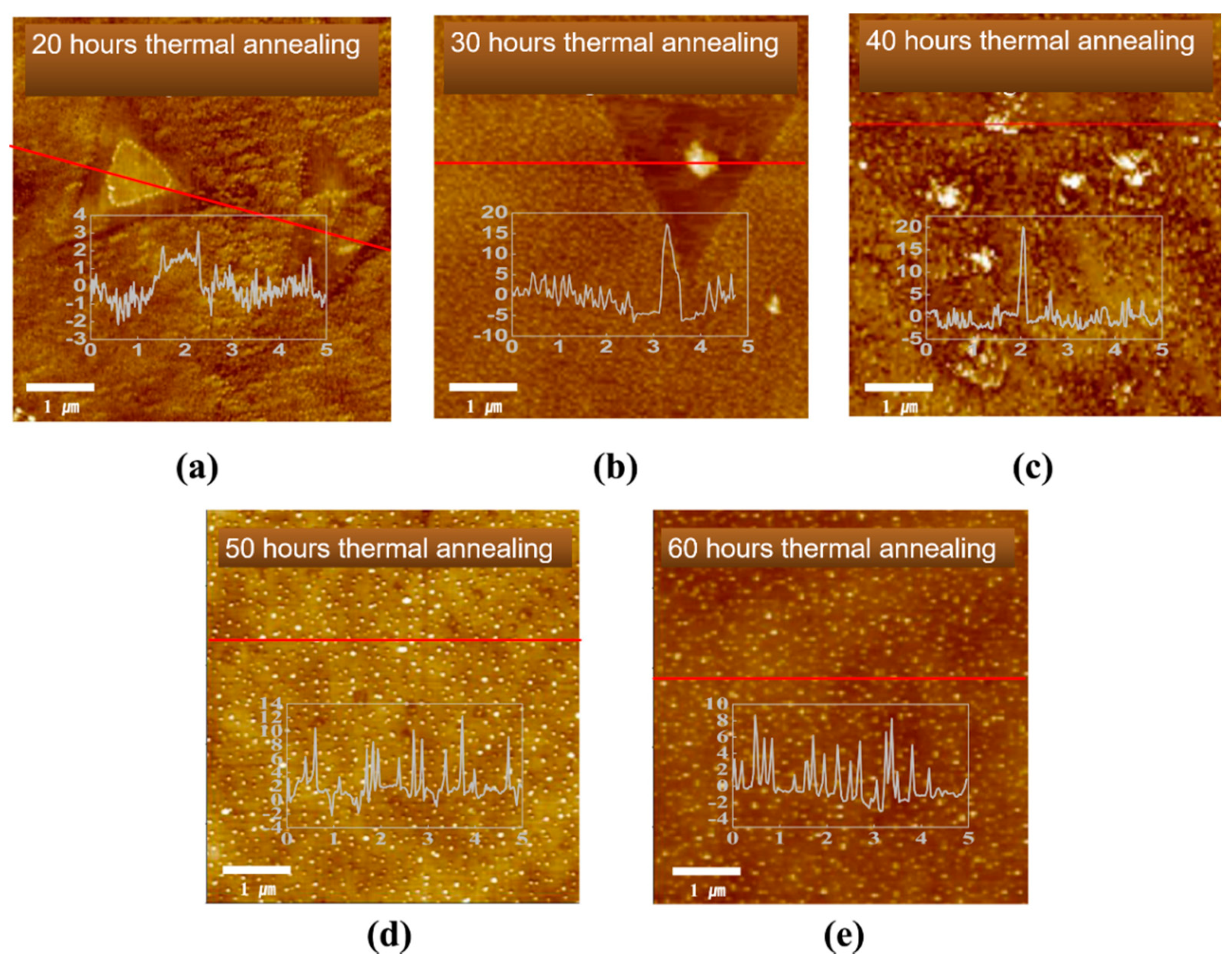 Carbon 07 00045 g012 Carbon 07 00045 g012