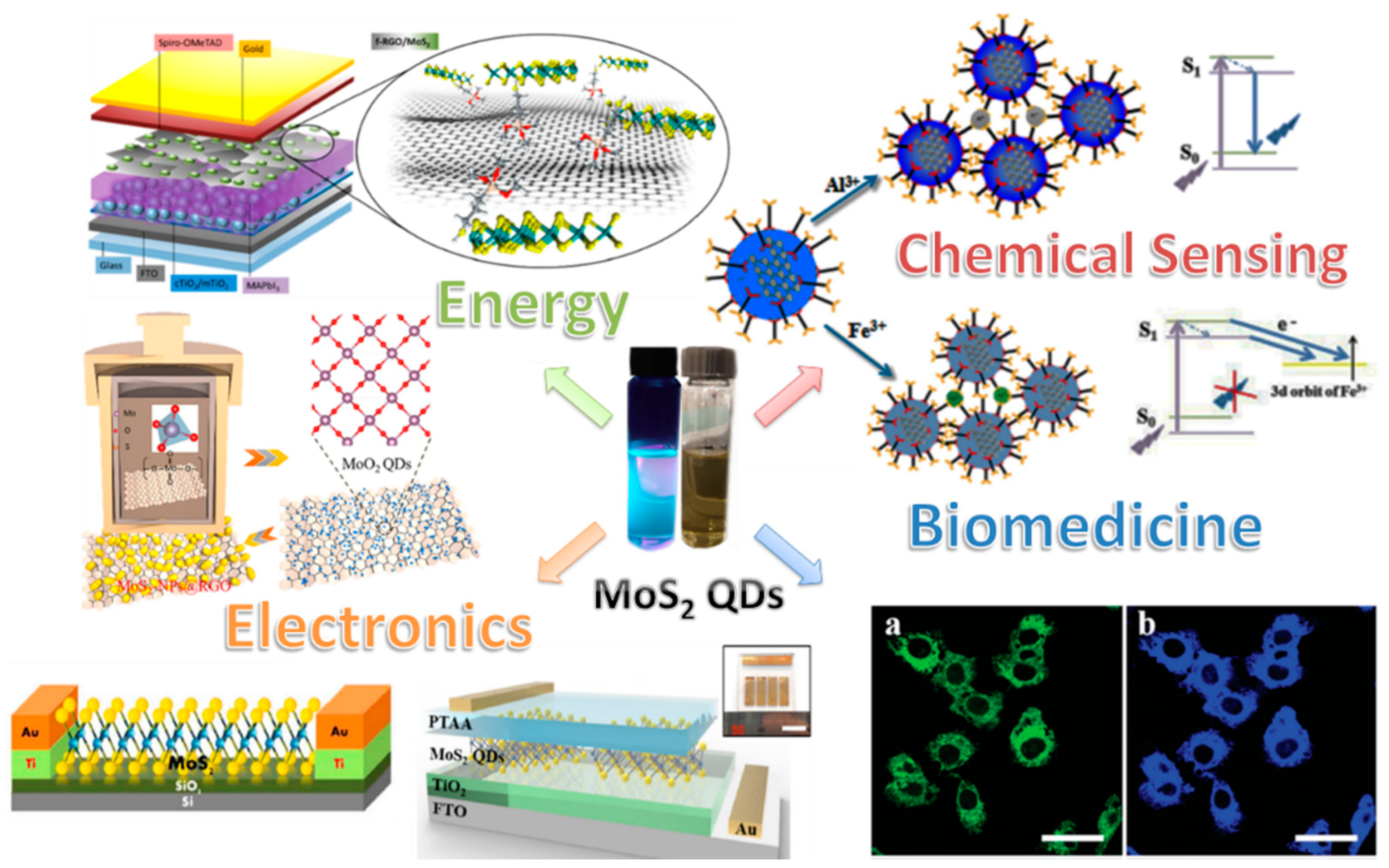 Carbon 07 00045 g013 Carbon 07 00045 g013
