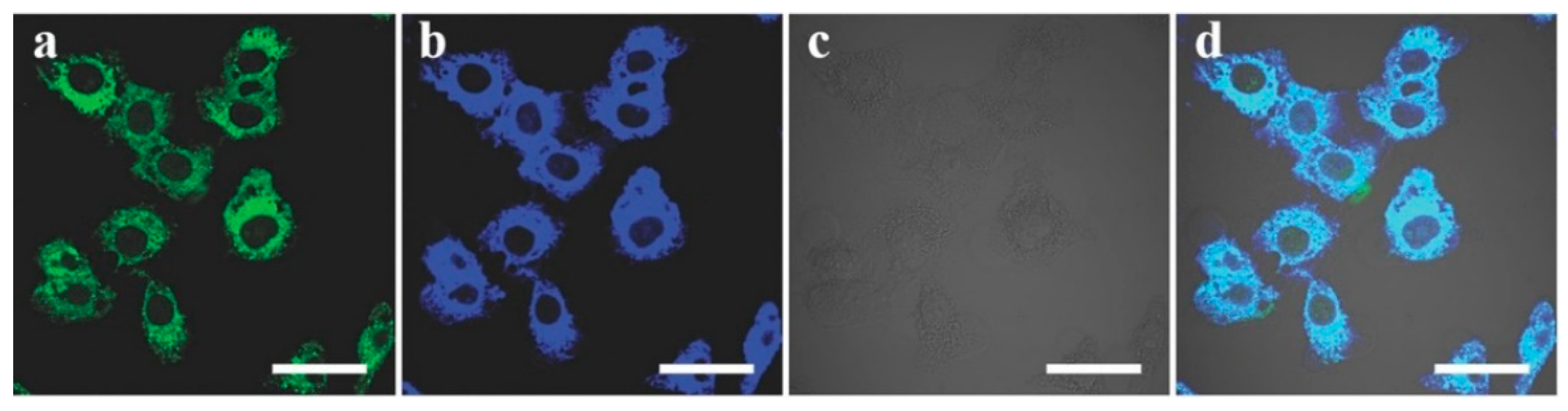 Carbon 07 00045 g028 Carbon 07 00045 g028