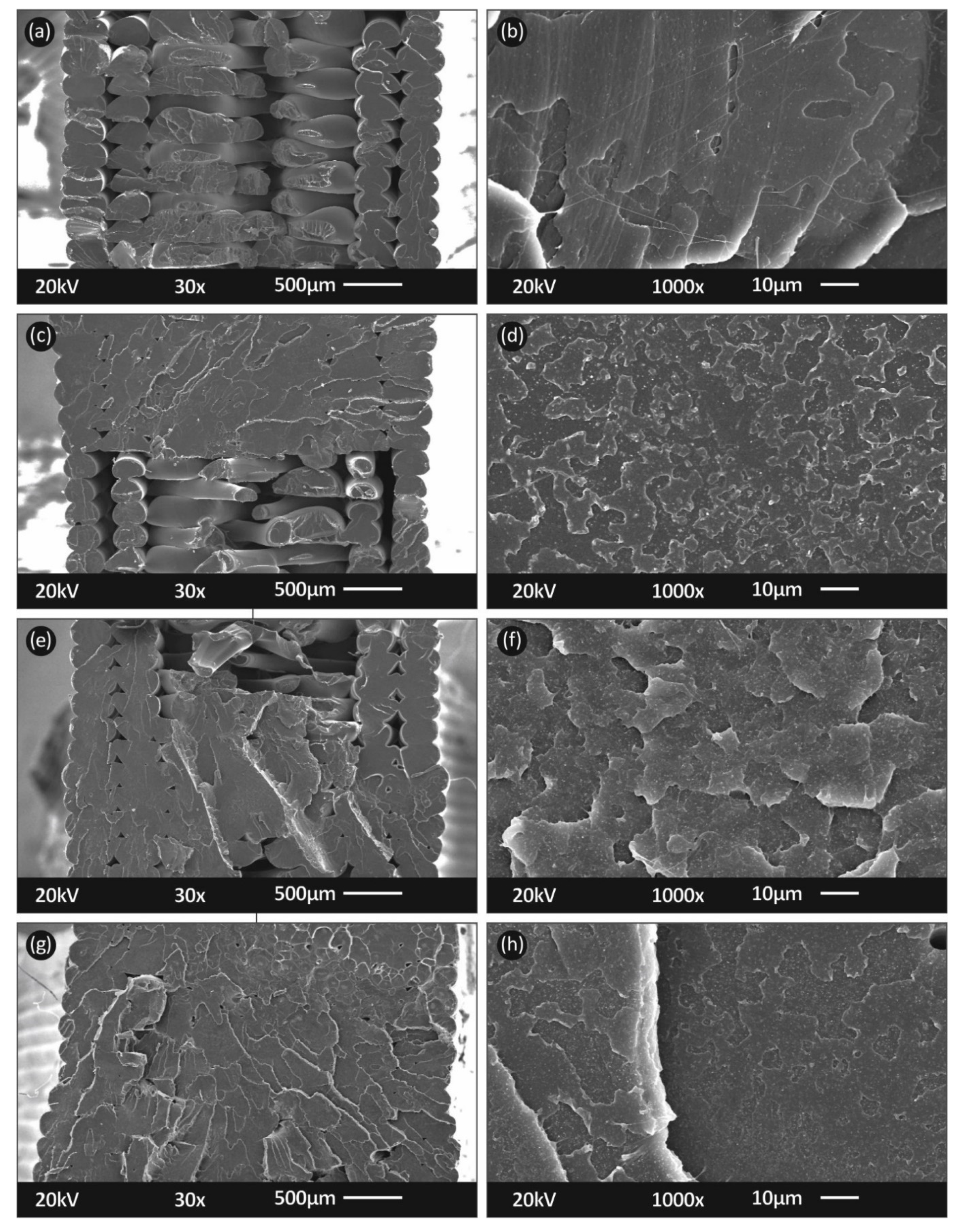 Carbon 07 00052 g008 550