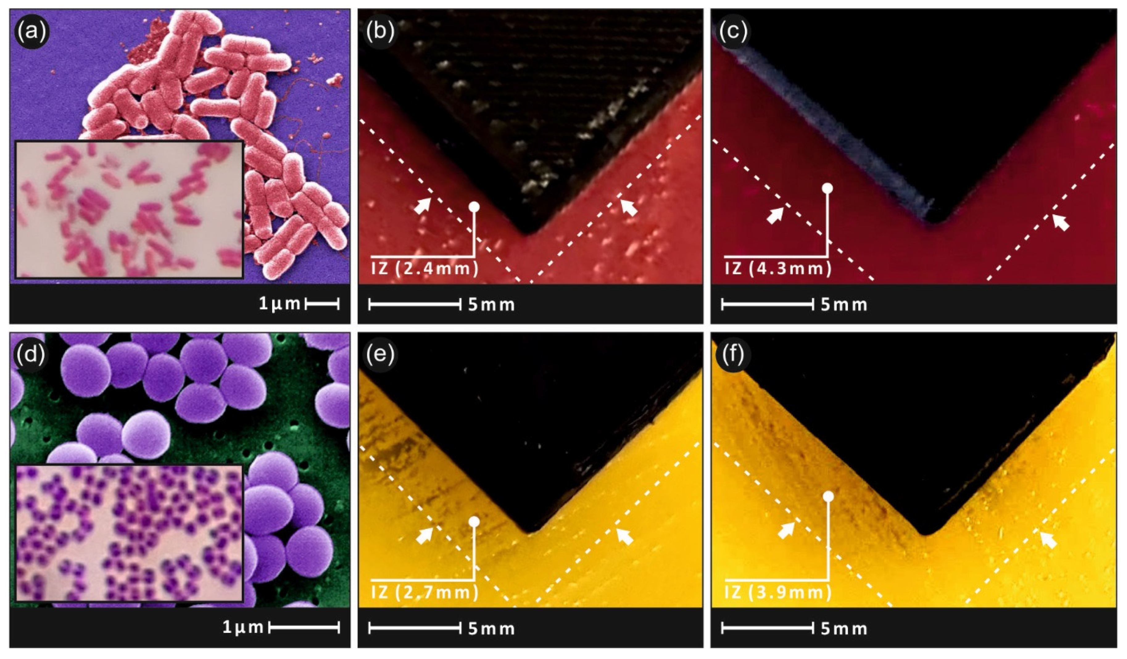 Carbon 07 00052 g012 550