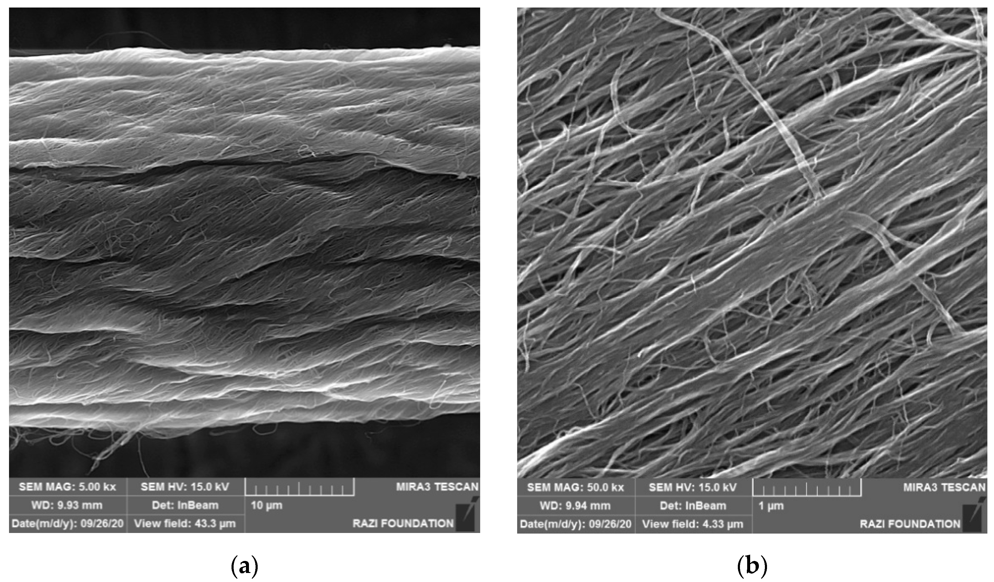 Carbon 07 00060 g001