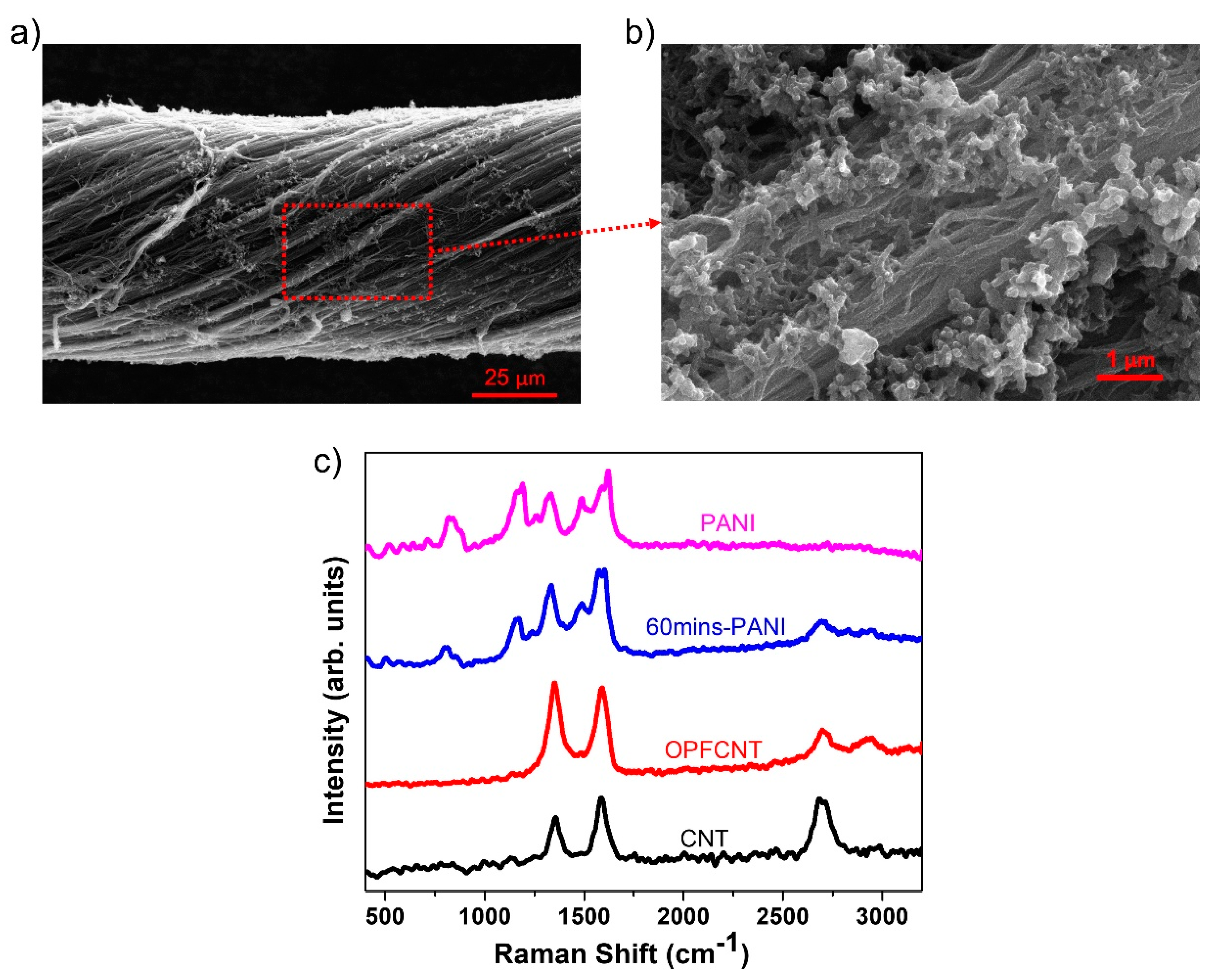 Carbon 07 00062 g006