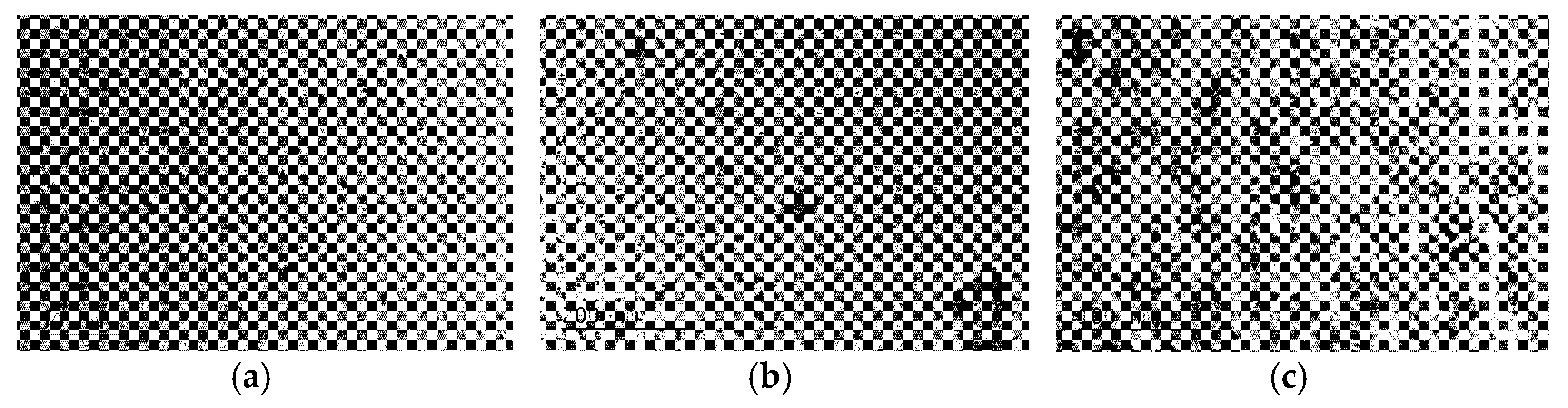 Carbon 07 00069 g004 550