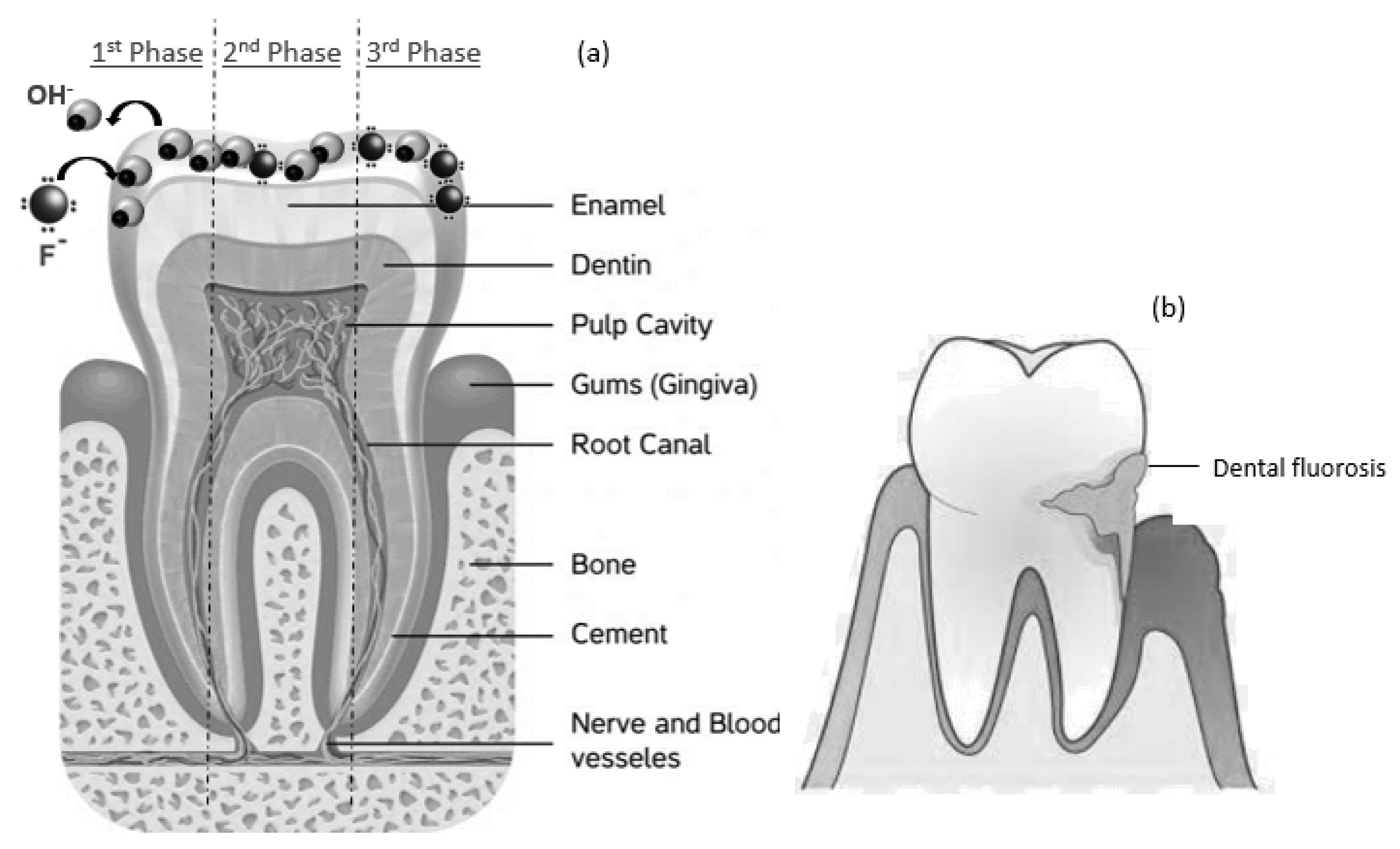 Carbon 07 00074 g001