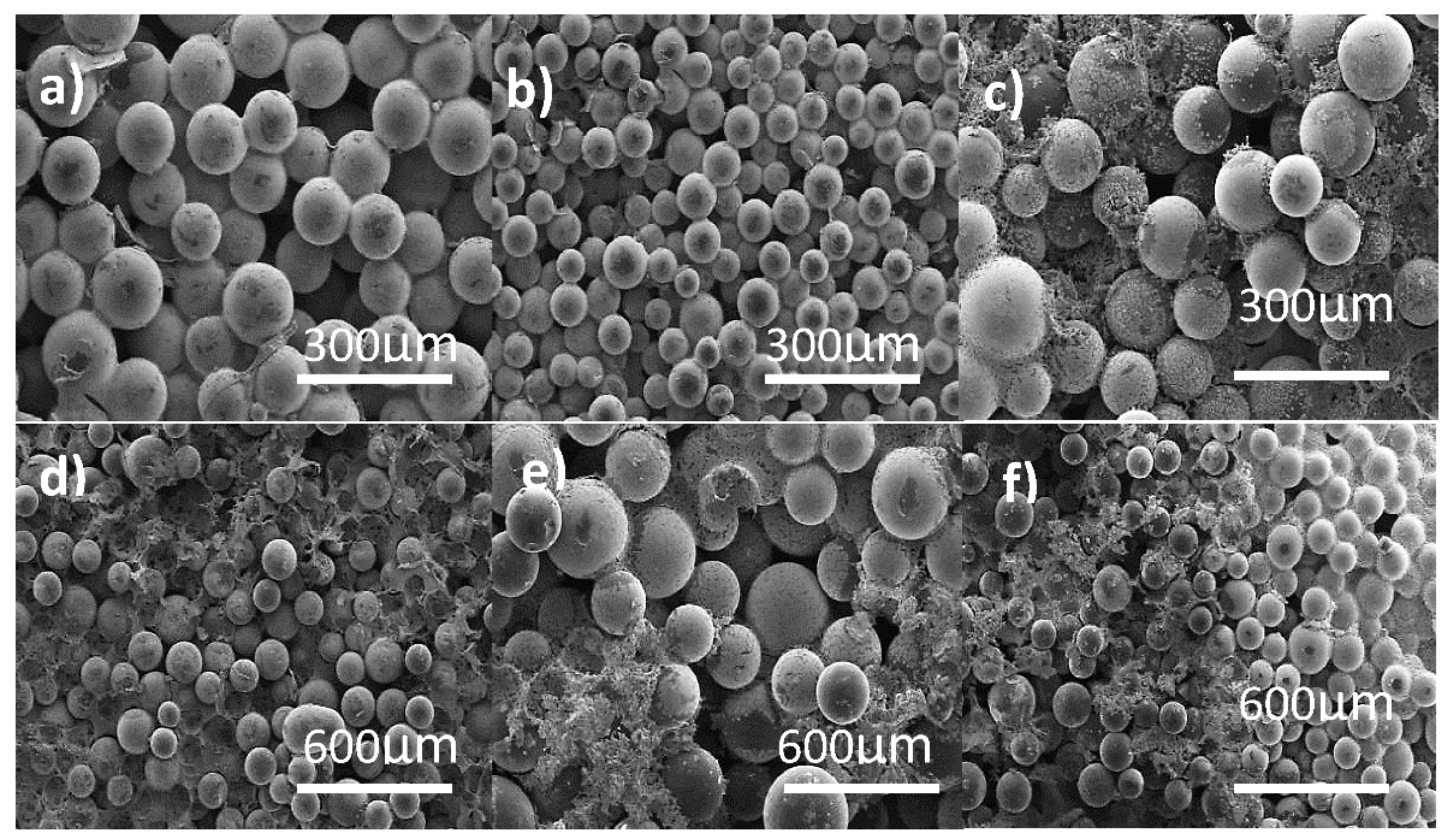 Carbon 07 00082 g001