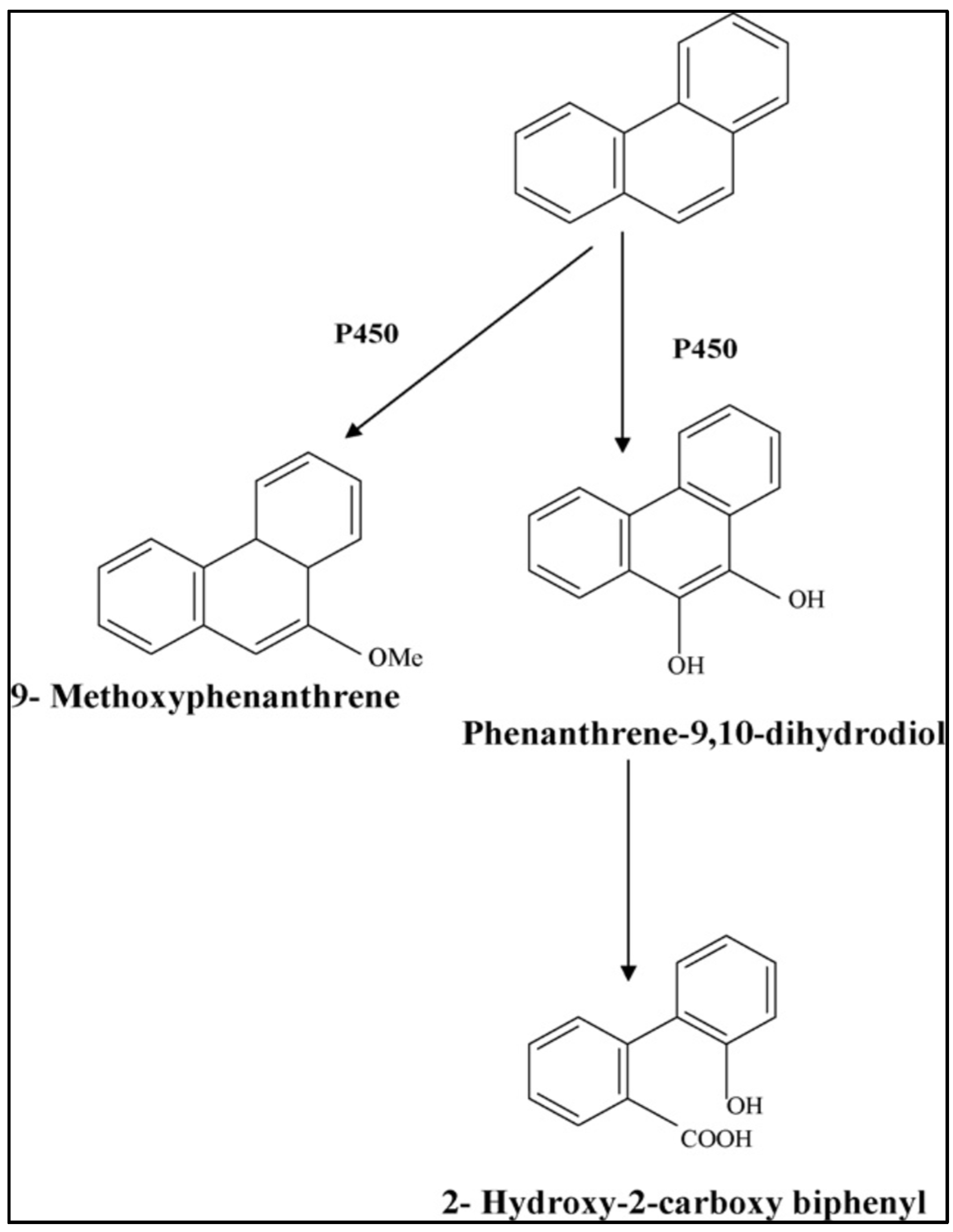 Carbon 07 00083 g004 Carbon 07 00083 g004