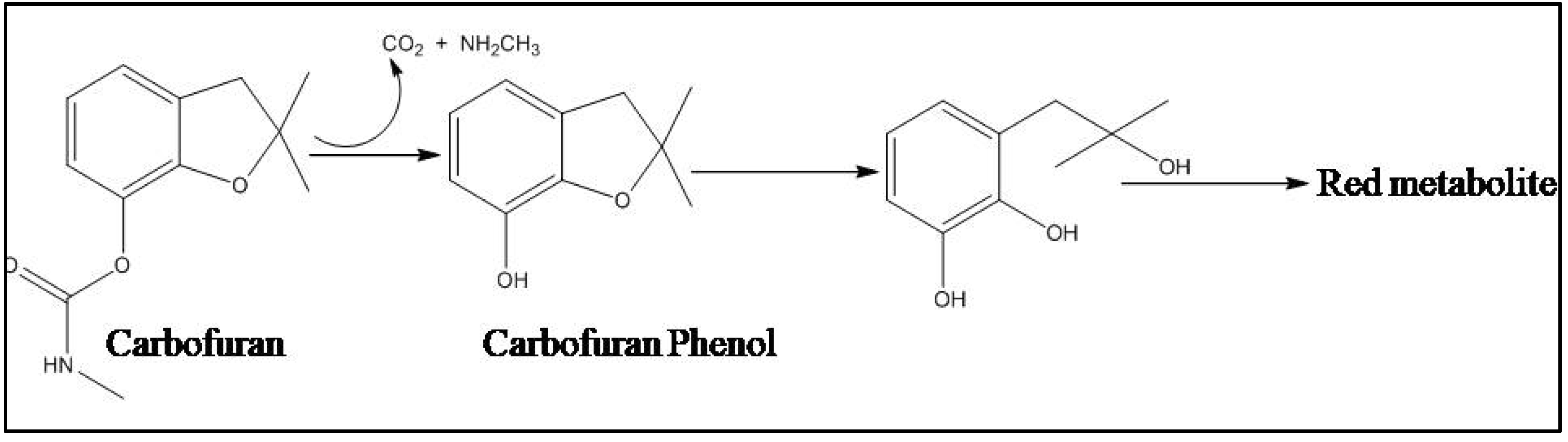 Carbon 07 00083 g005 Carbon 07 00083 g005