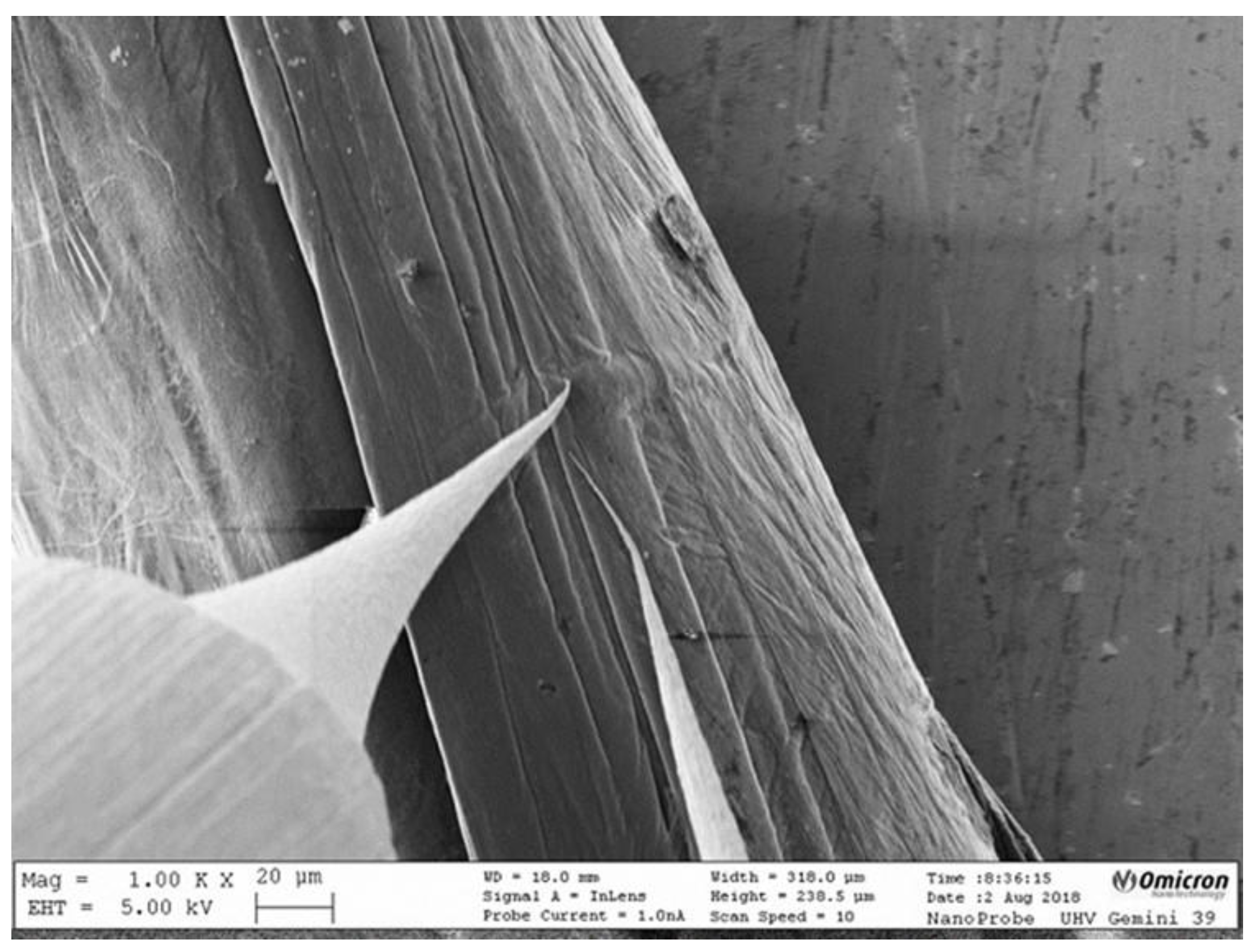 Carbon 08 00001 g001