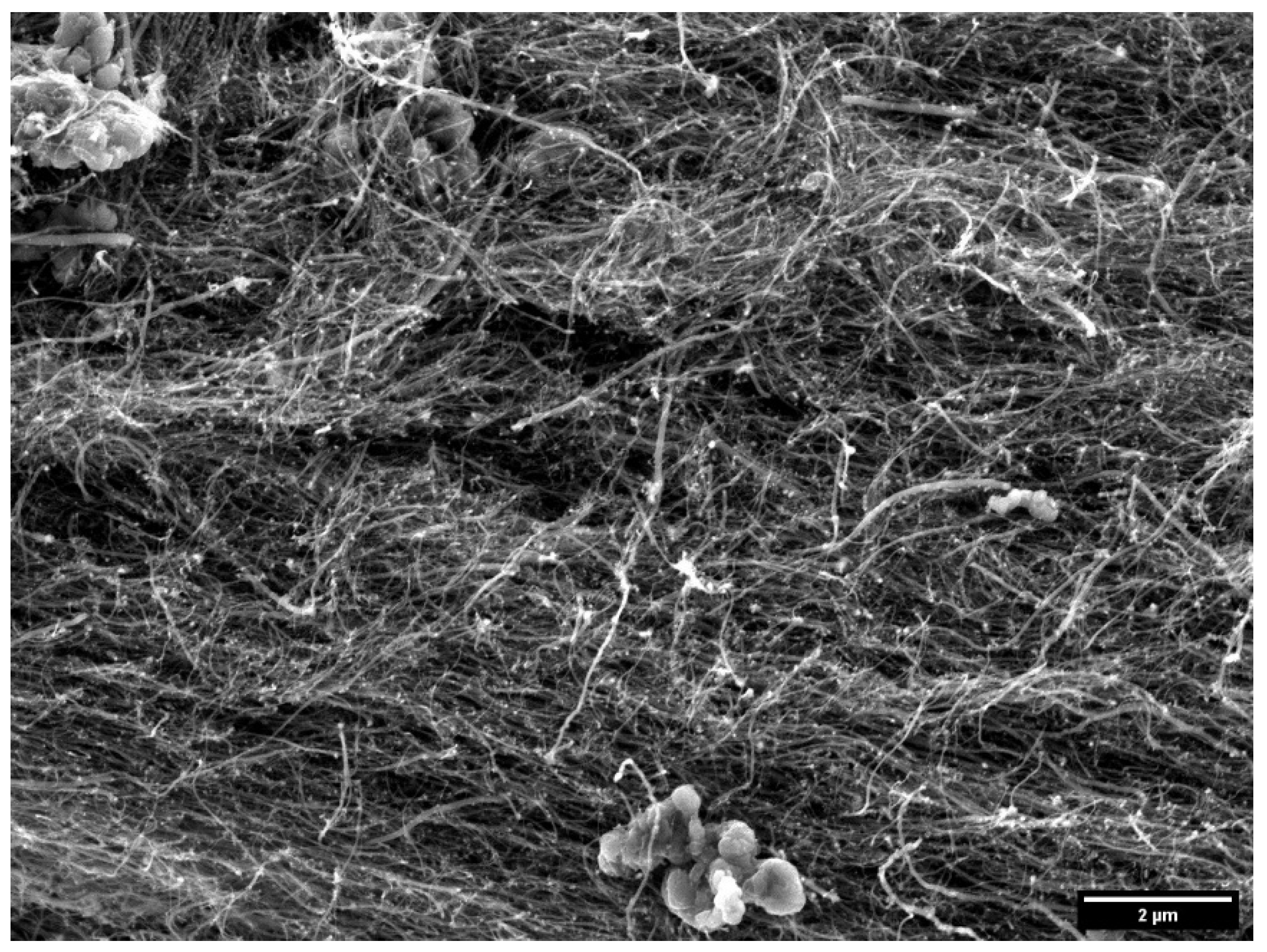 Carbon 08 00009 g003