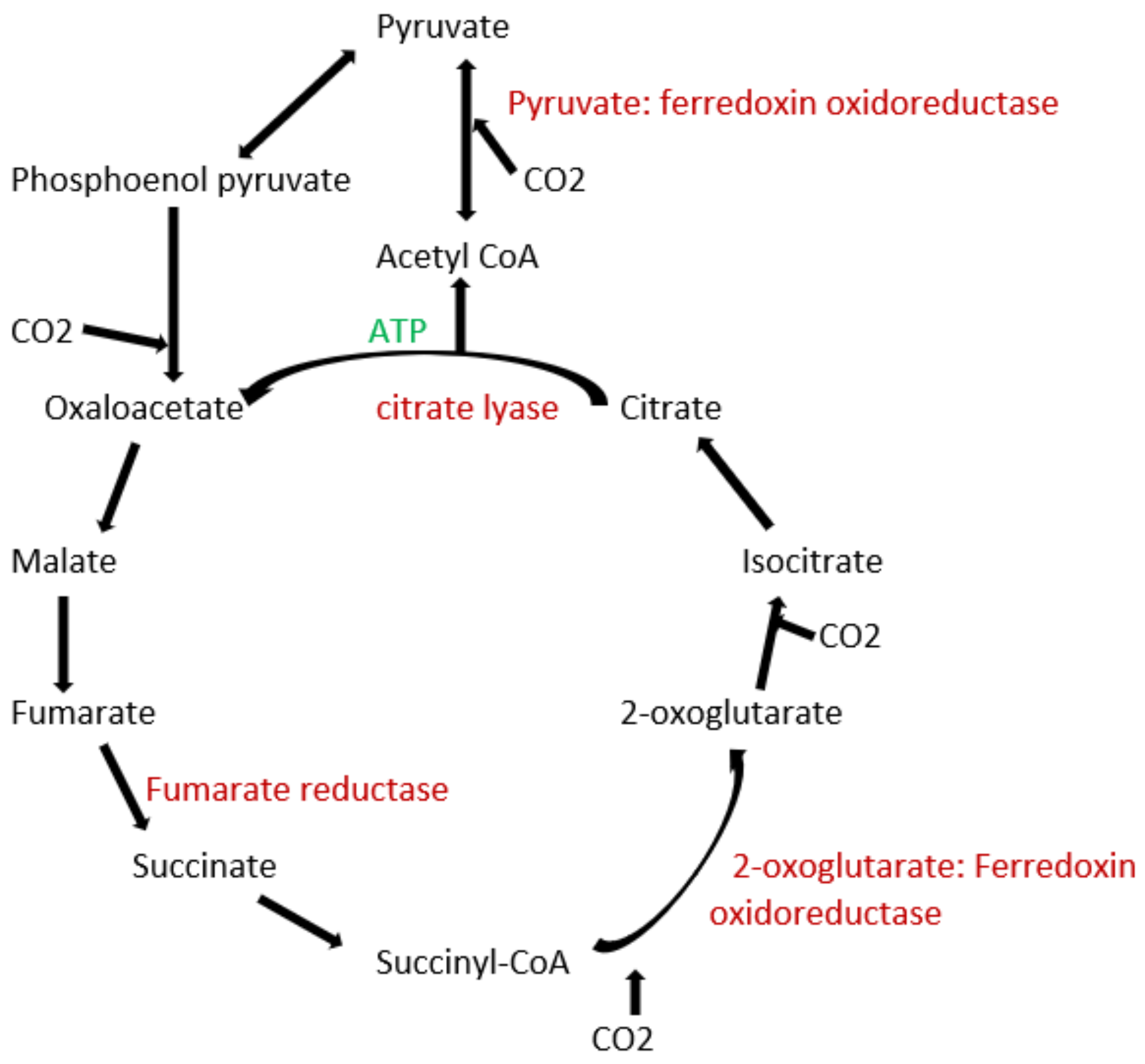 Carbon 08 00018 g001 Carbon 08 00018 g001