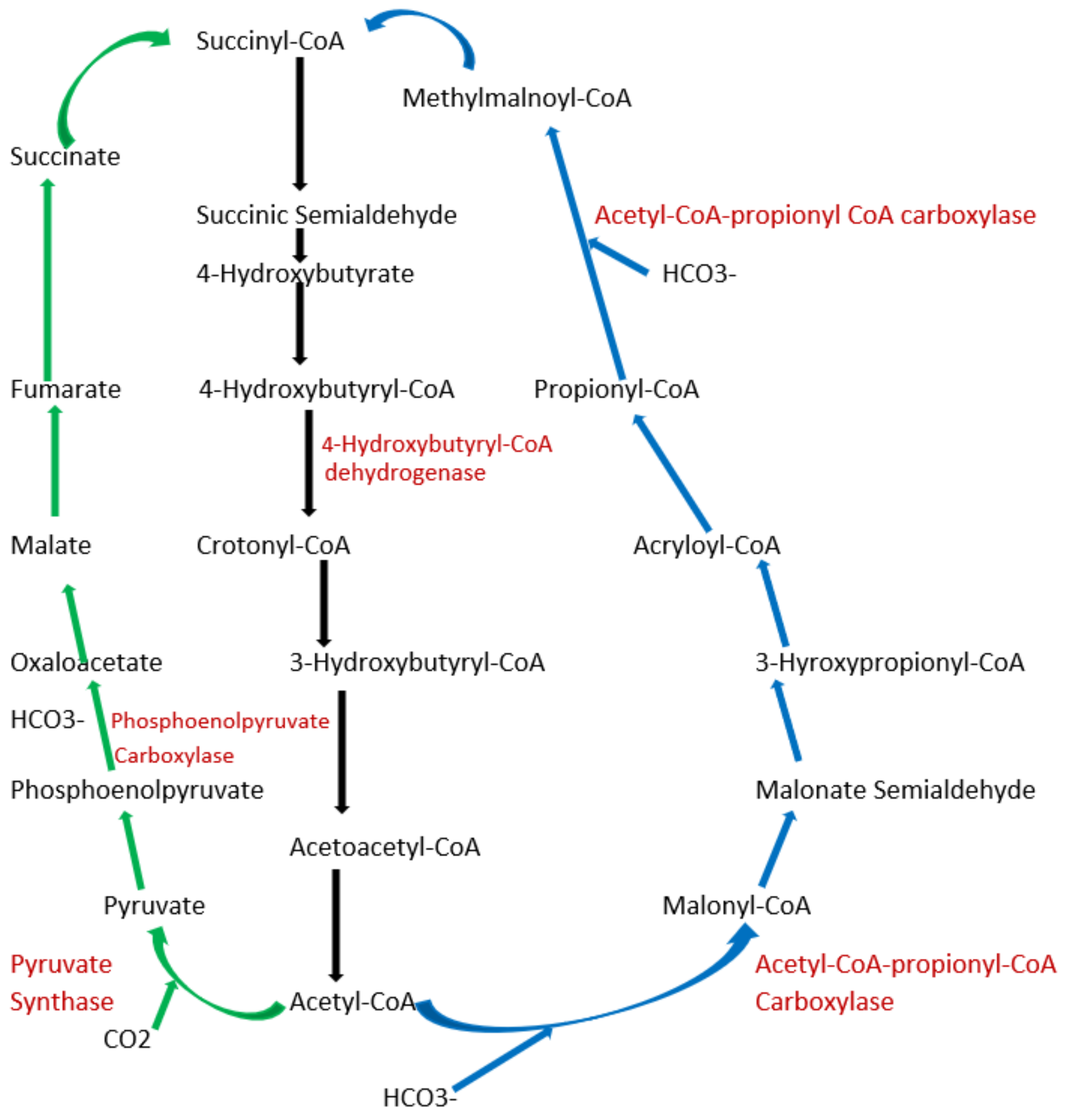 Carbon 08 00018 g003 Carbon 08 00018 g003