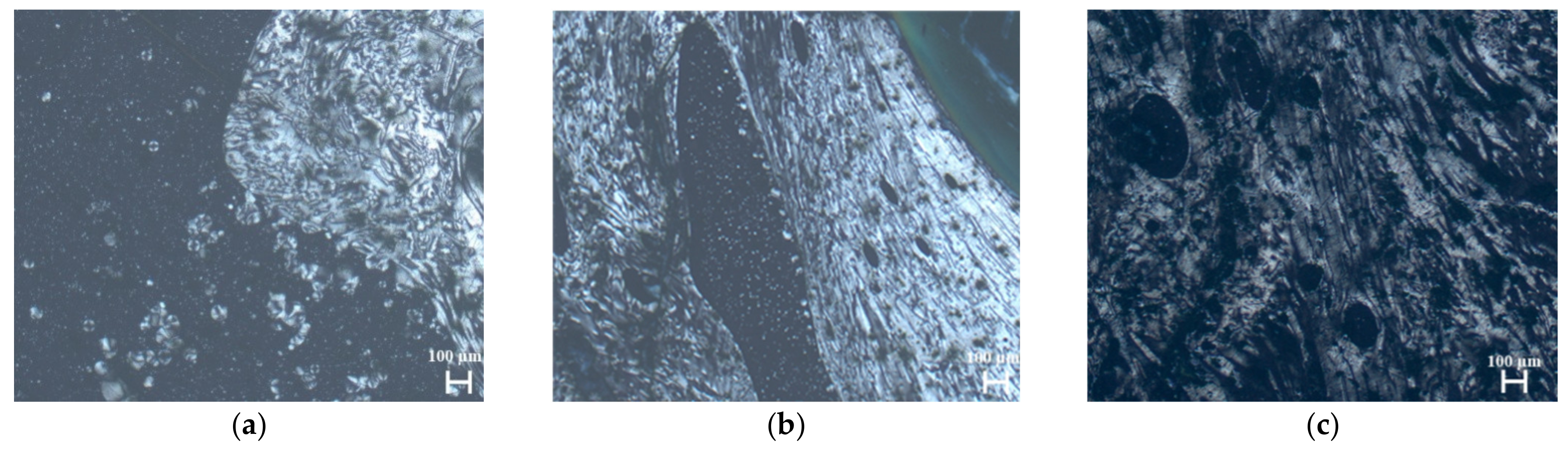 Carbon 08 00019 g006