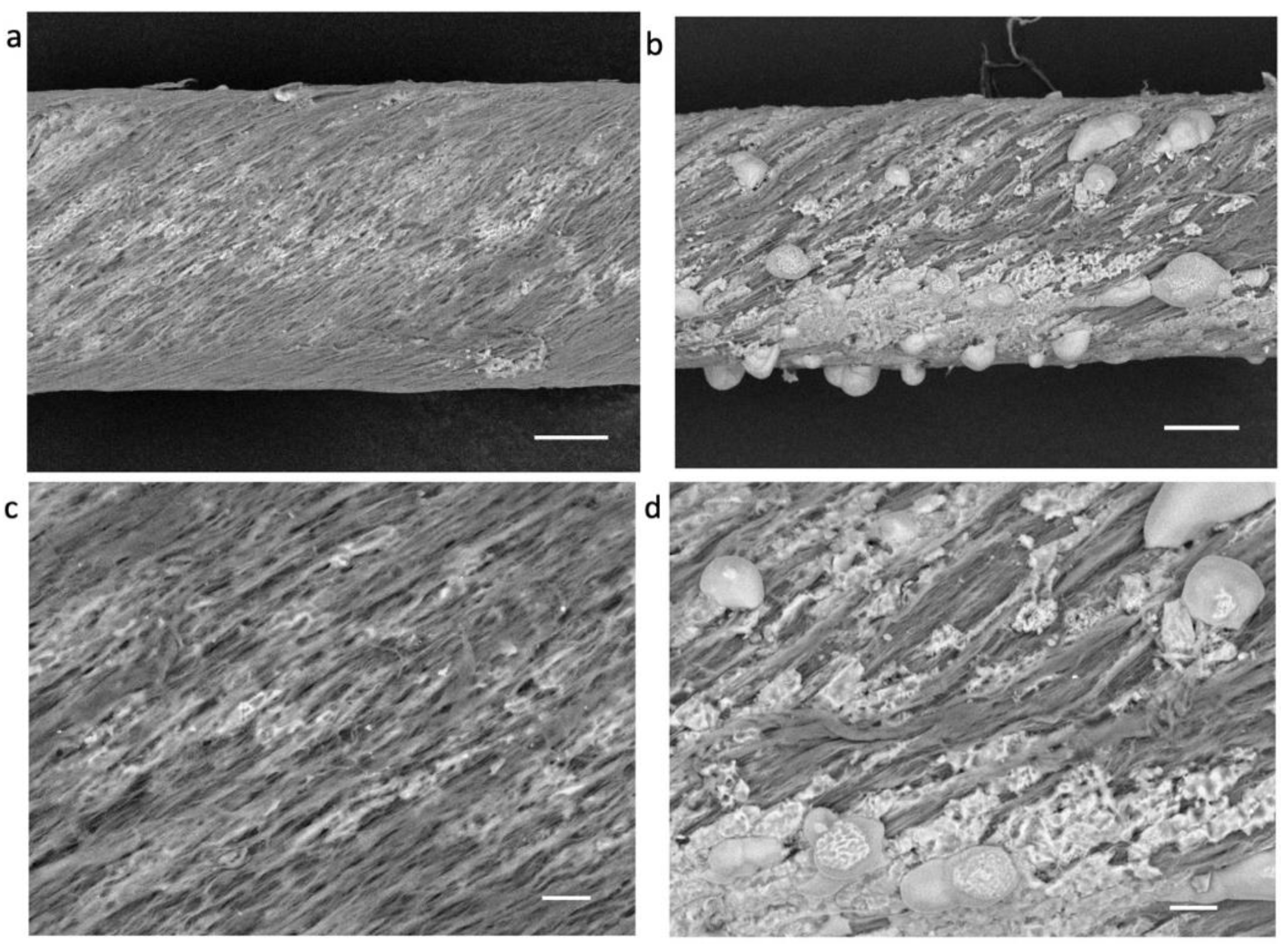 Carbon 08 00030 g001a 550