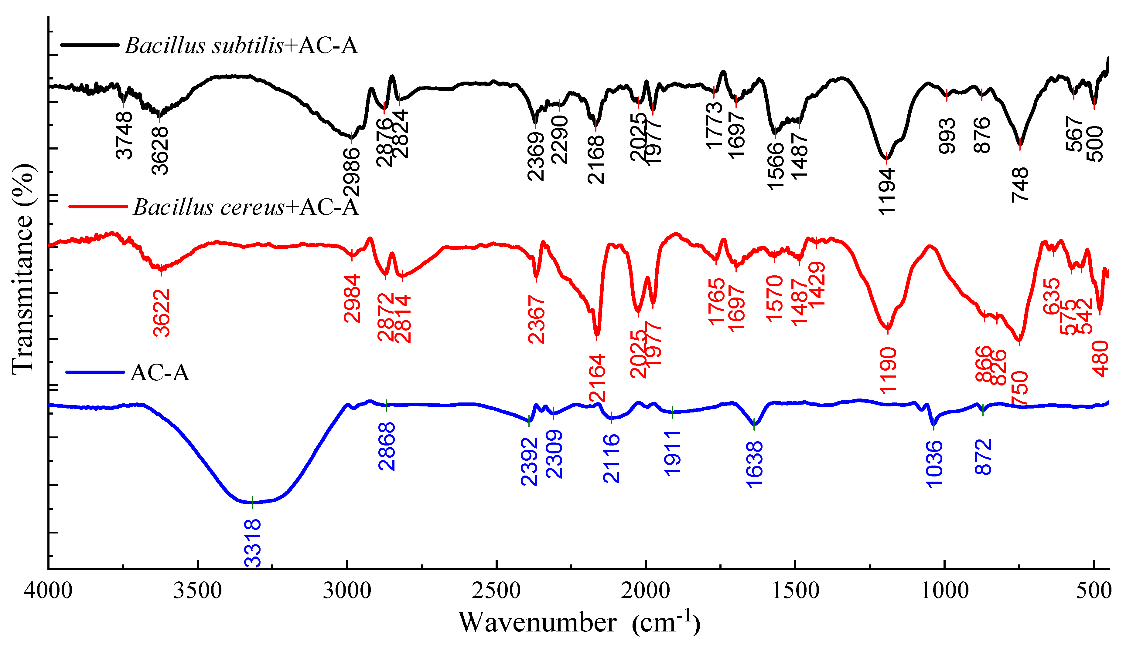 Carbon 08 00038 g006 550