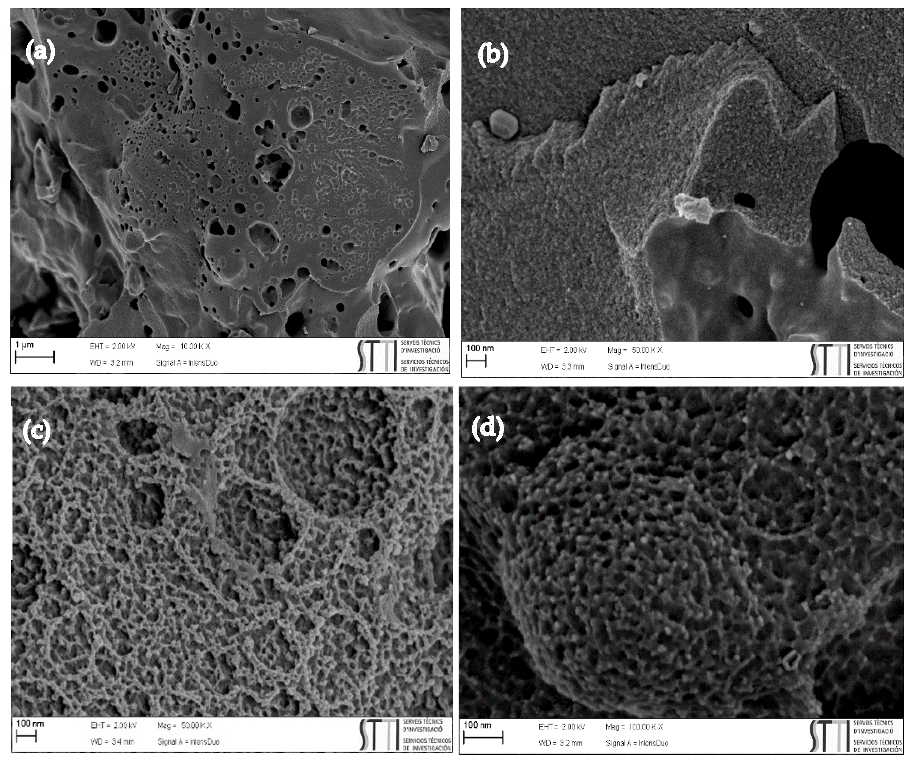 Carbon 08 00041 g002 550
