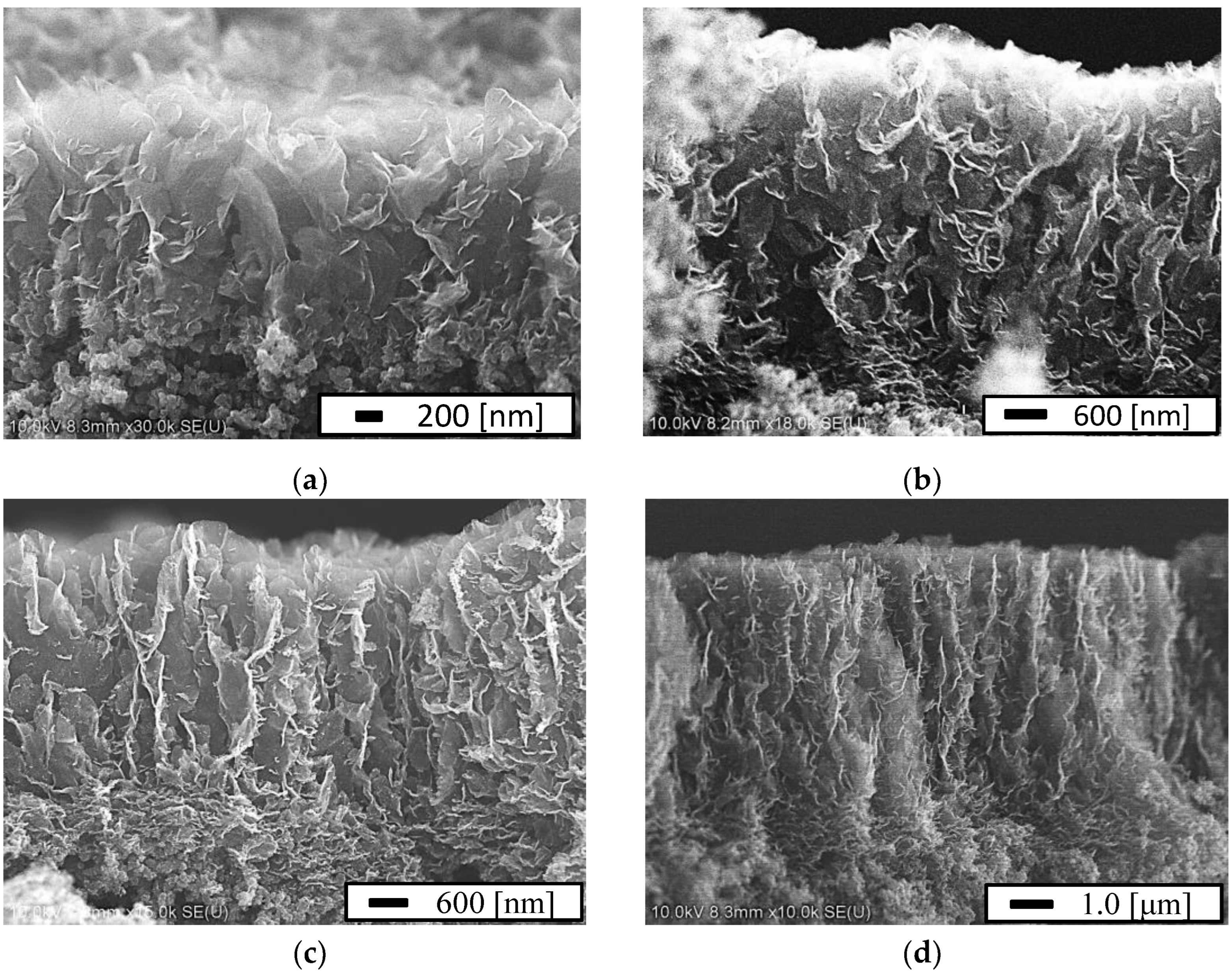 Carbon 08 00044 g004 Carbon 08 00044 g004