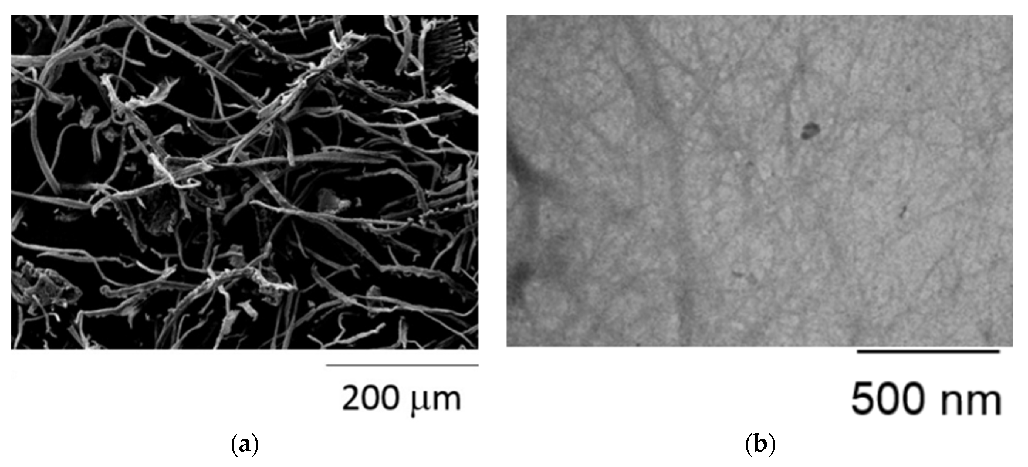 Carbon 08 00055 g004